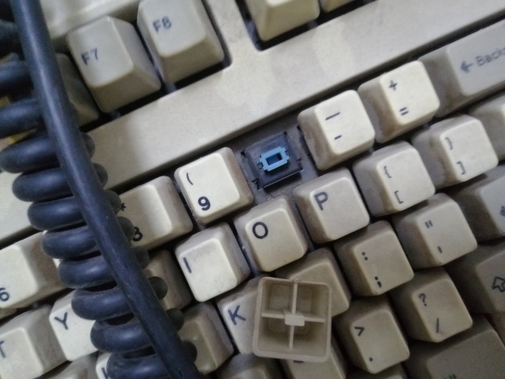[keyboard spotting] Found a Model M with real blue alps for 30 euro. r/MechanicalKeyboards
