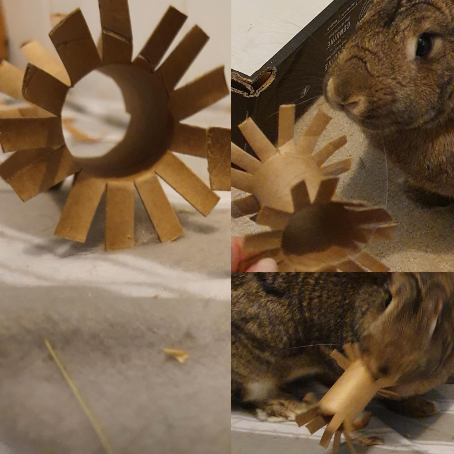 I always see tips for cheap rabbit toys like "cardboard cylinders from