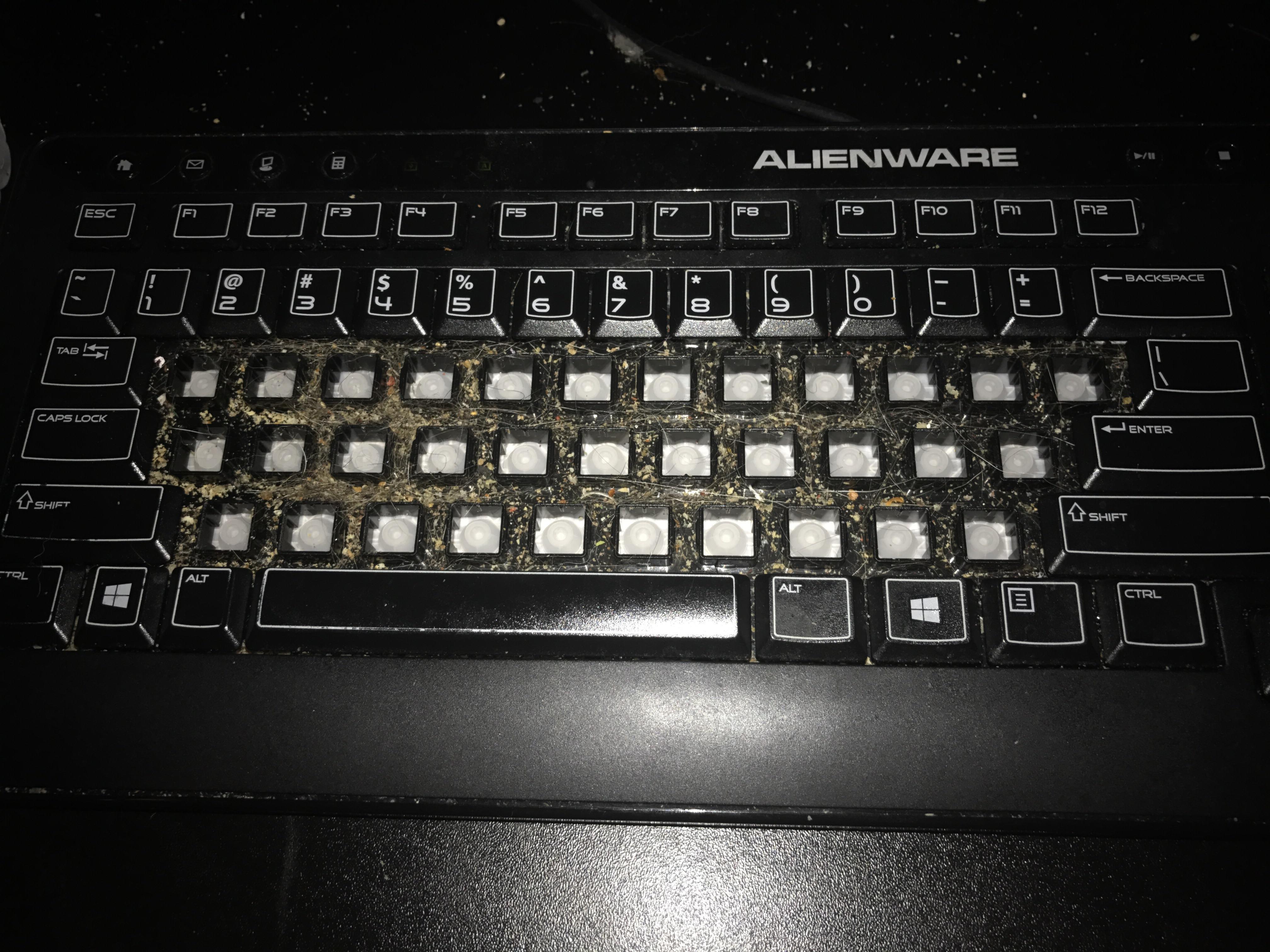 I've had the same Alienware keyboard for roughly three years, and I