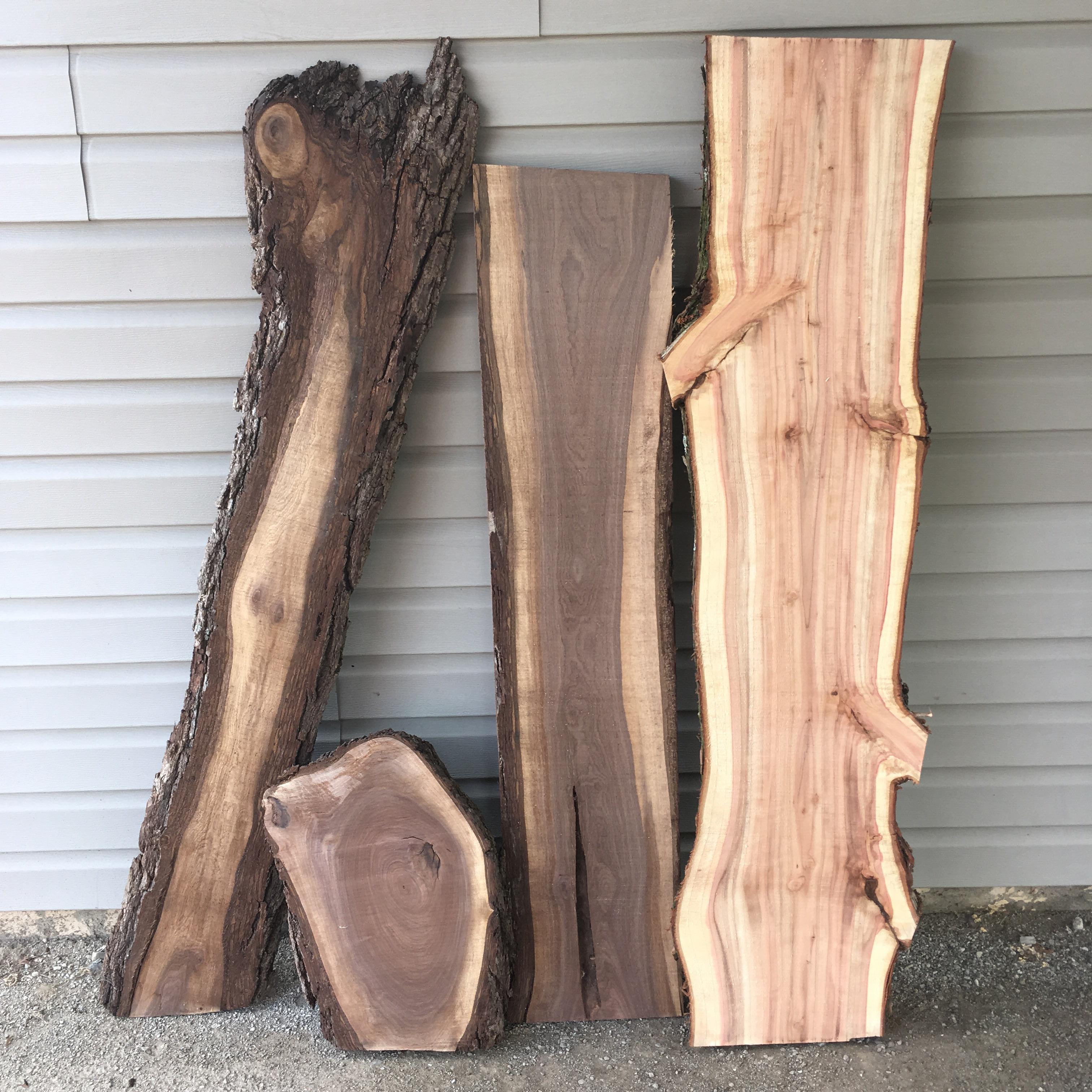 Today's haul. Walnut and dawn redwood(?). Tons of ideas, but not sure
