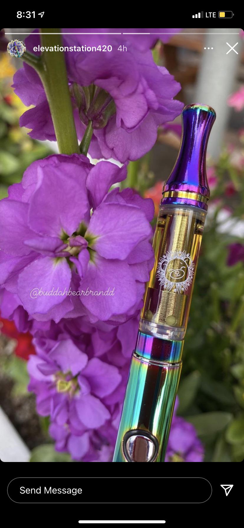 buddah bear Reddit post and comment search SocialGrep