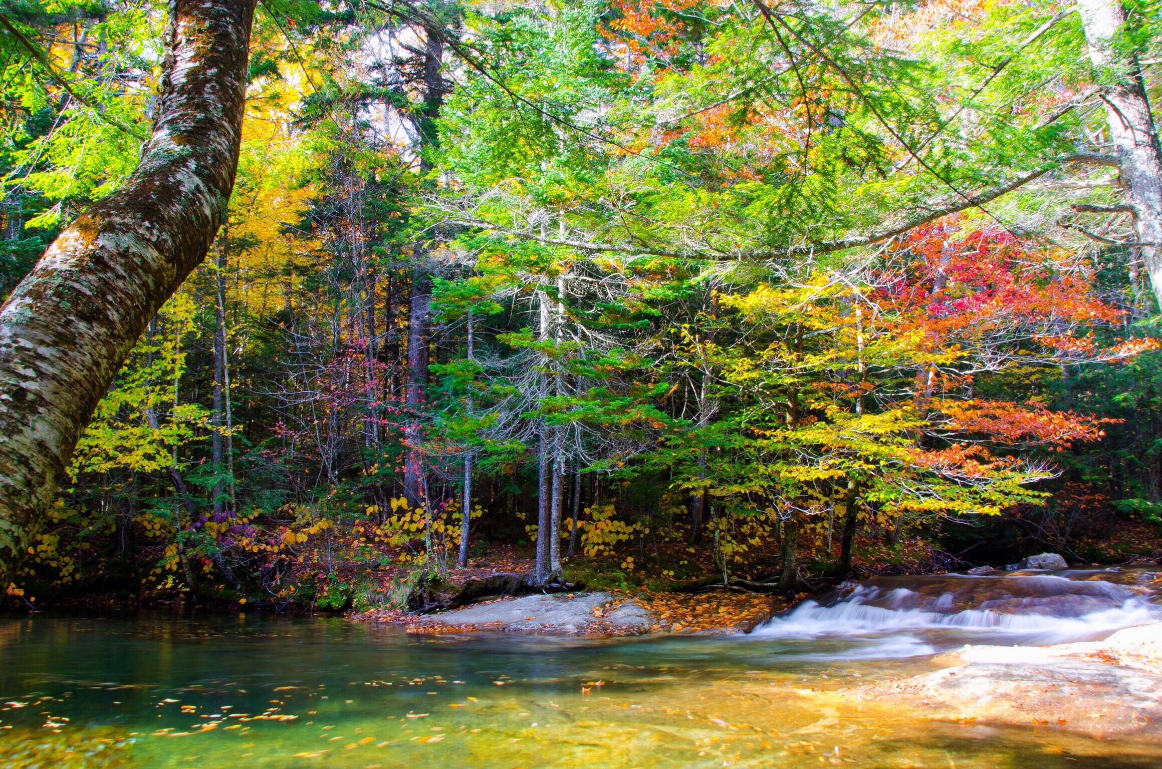 Franconia Notch State Park, New Hampshire, USA r/hiking