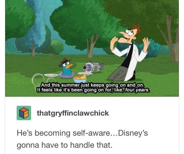 What 4th wall r/tumblr