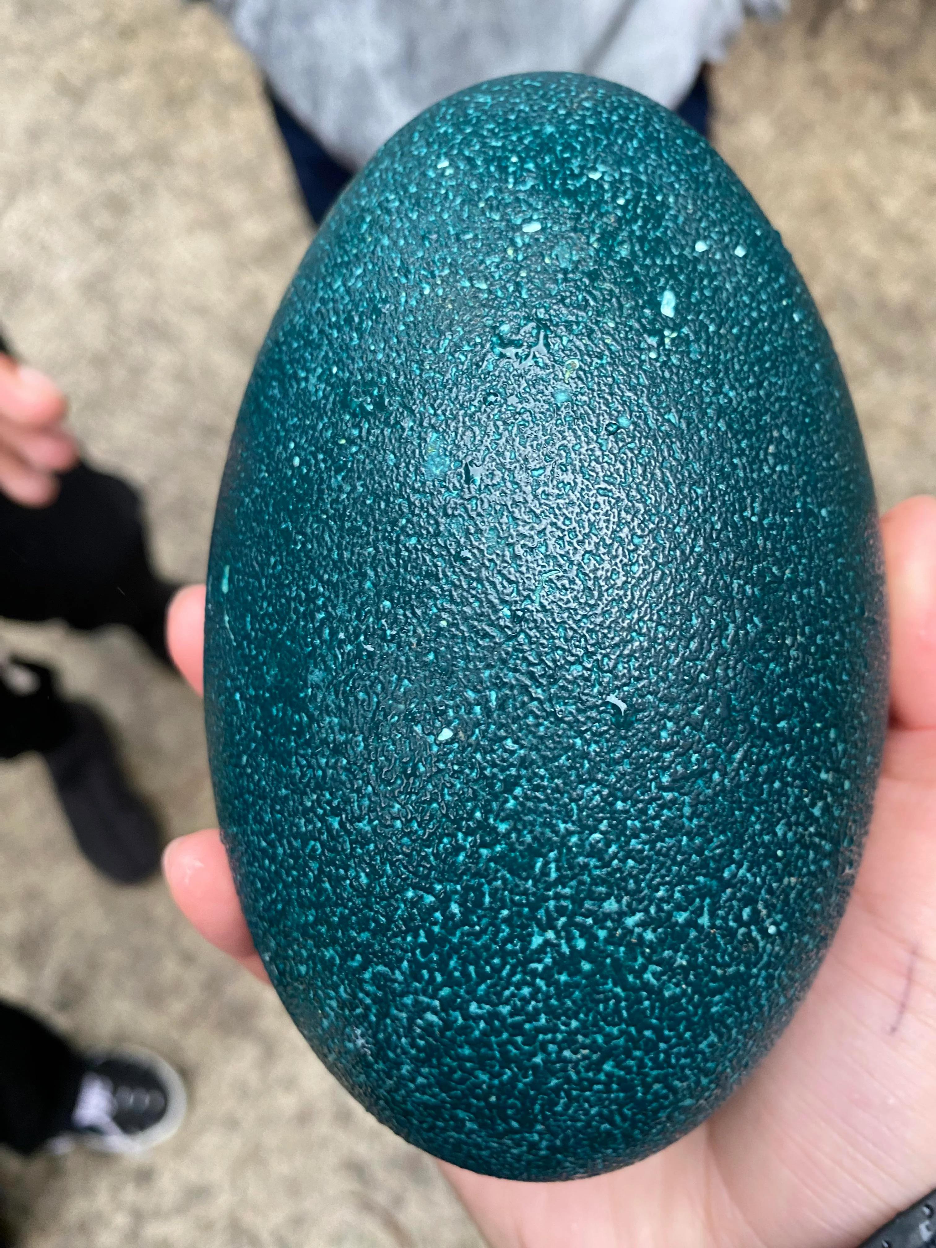 Dragon egg? : r/Eragon