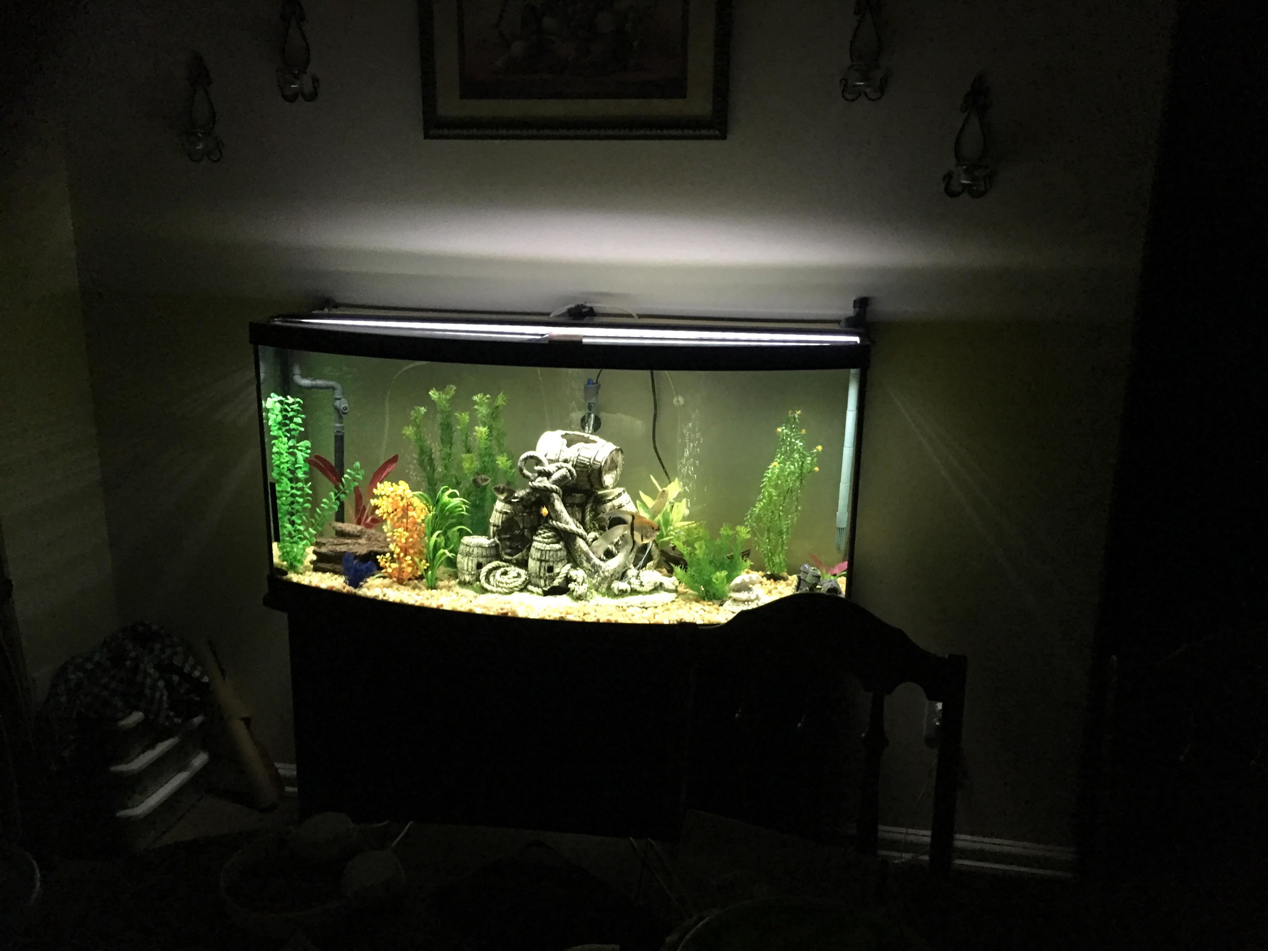 Coworkers wanted to see a picture of my tank. So figured the