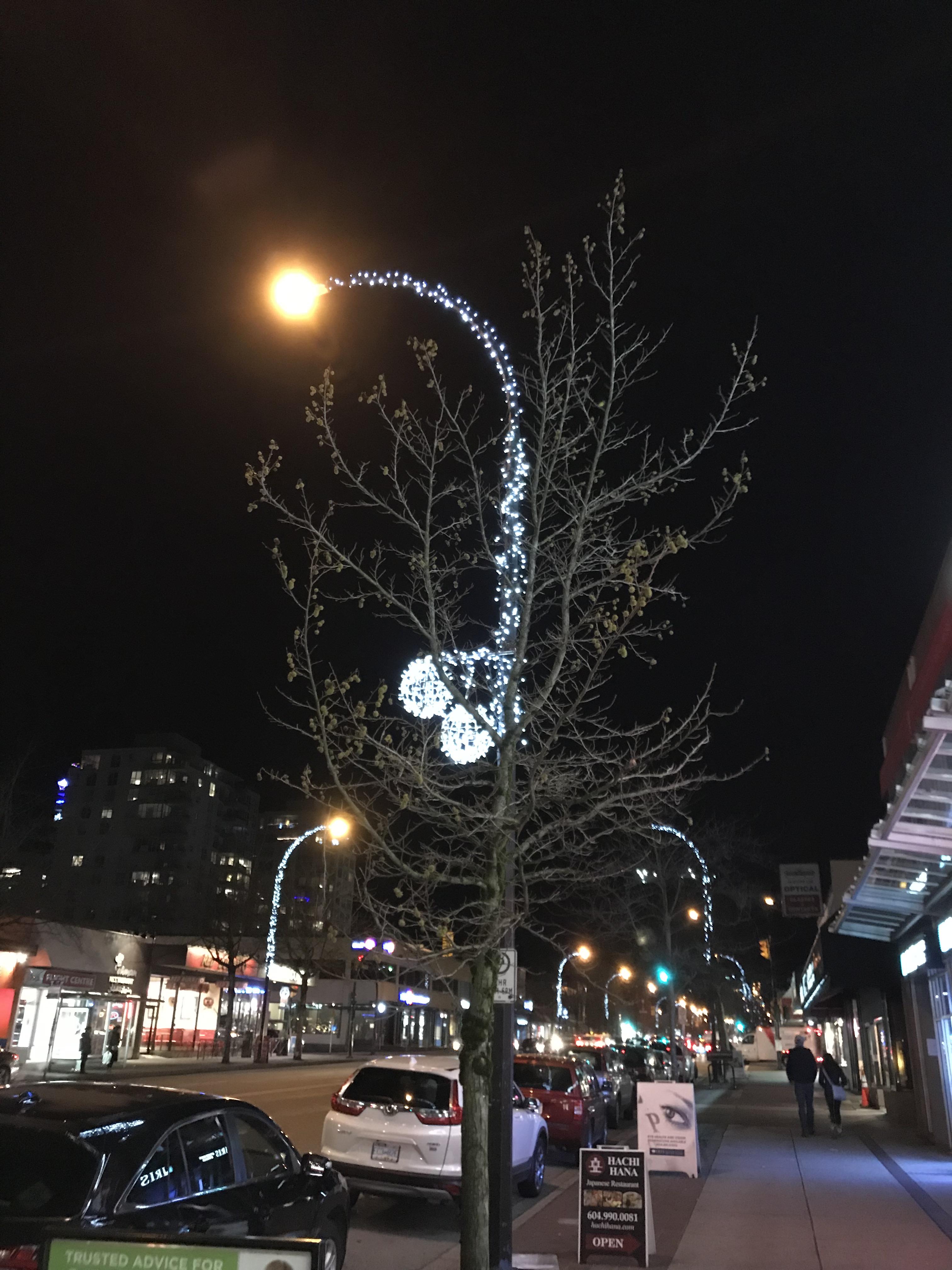 These are the Christmas lights on the main street of my city this year