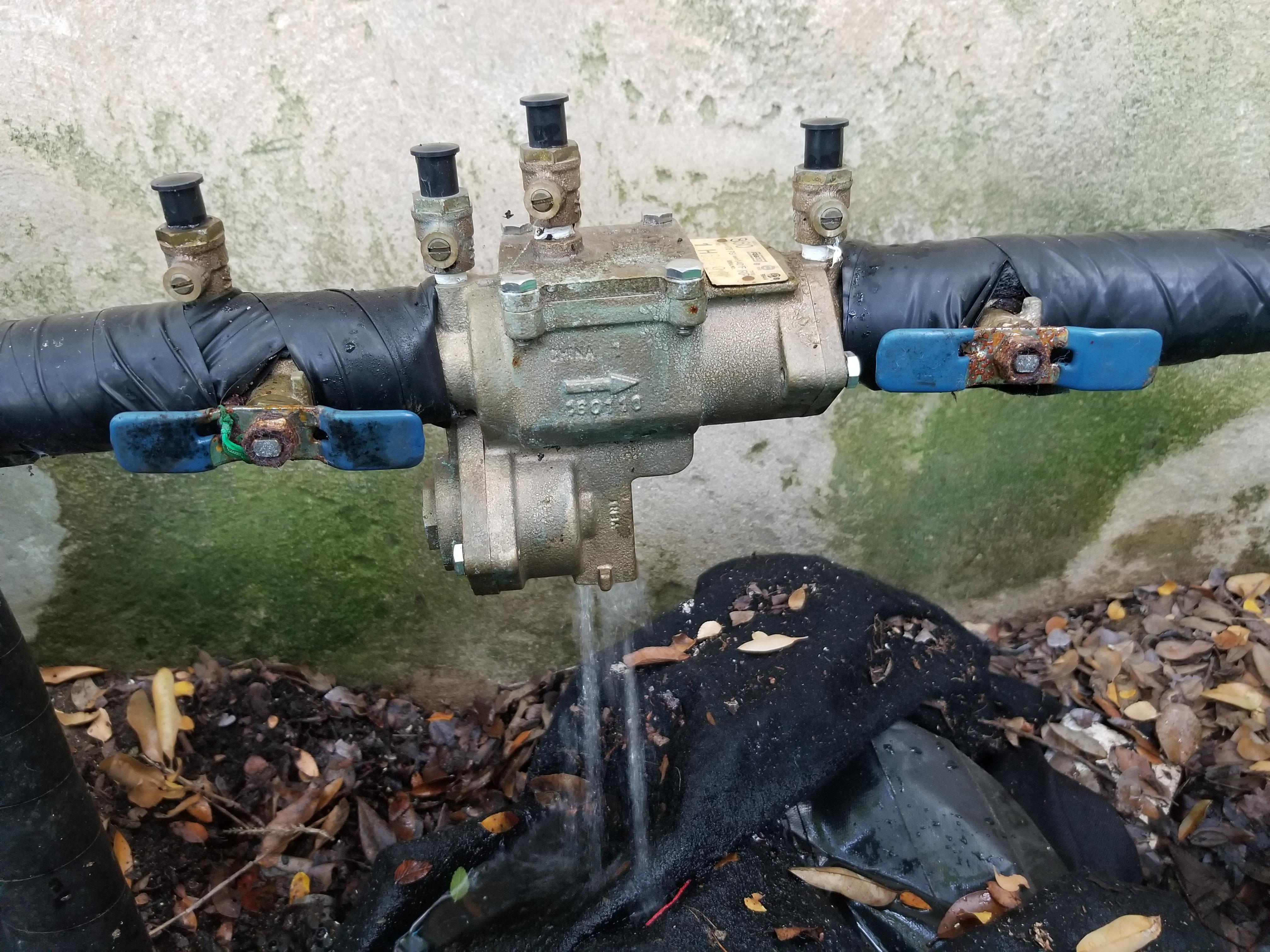 How To Stop Backflow From Leaking at Tracy Dibenedetto blog