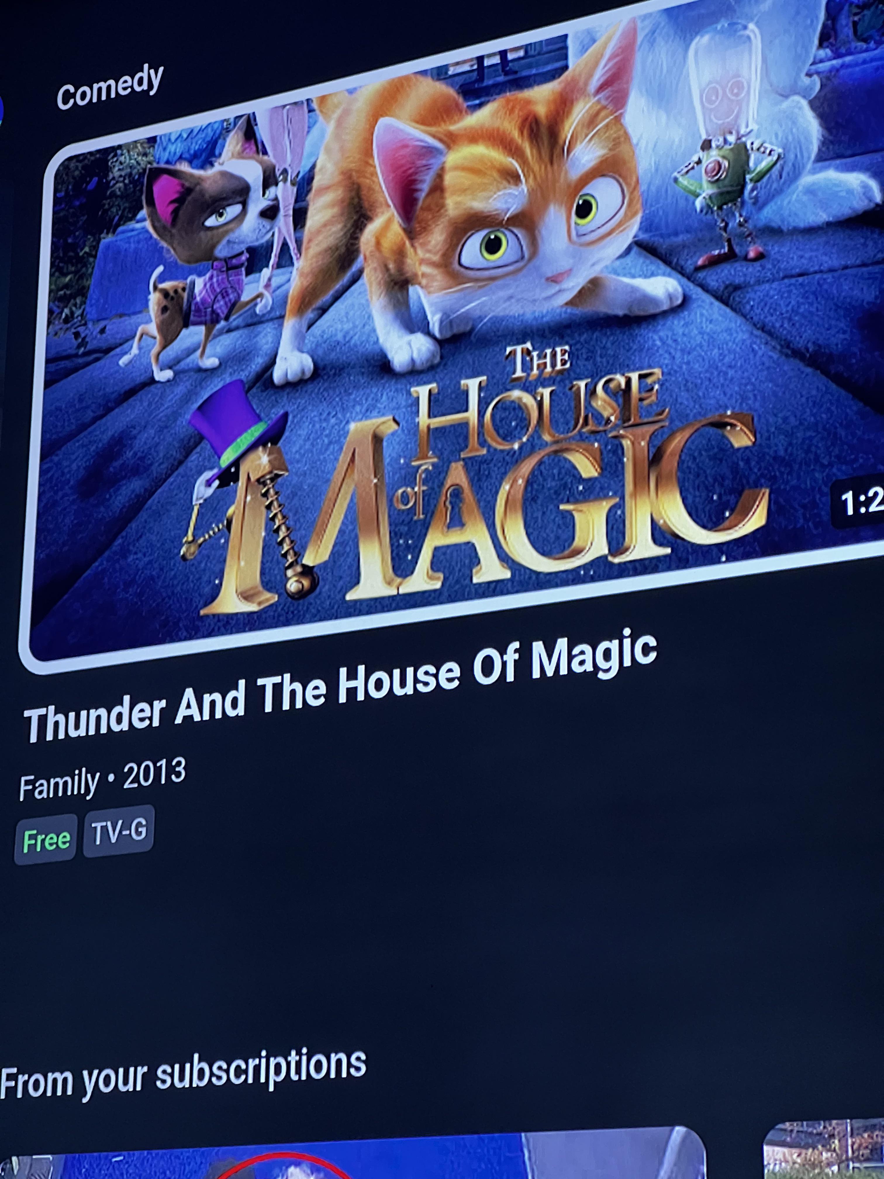 R/mildlyinfuriating I bought this on YouTube to watch with my family