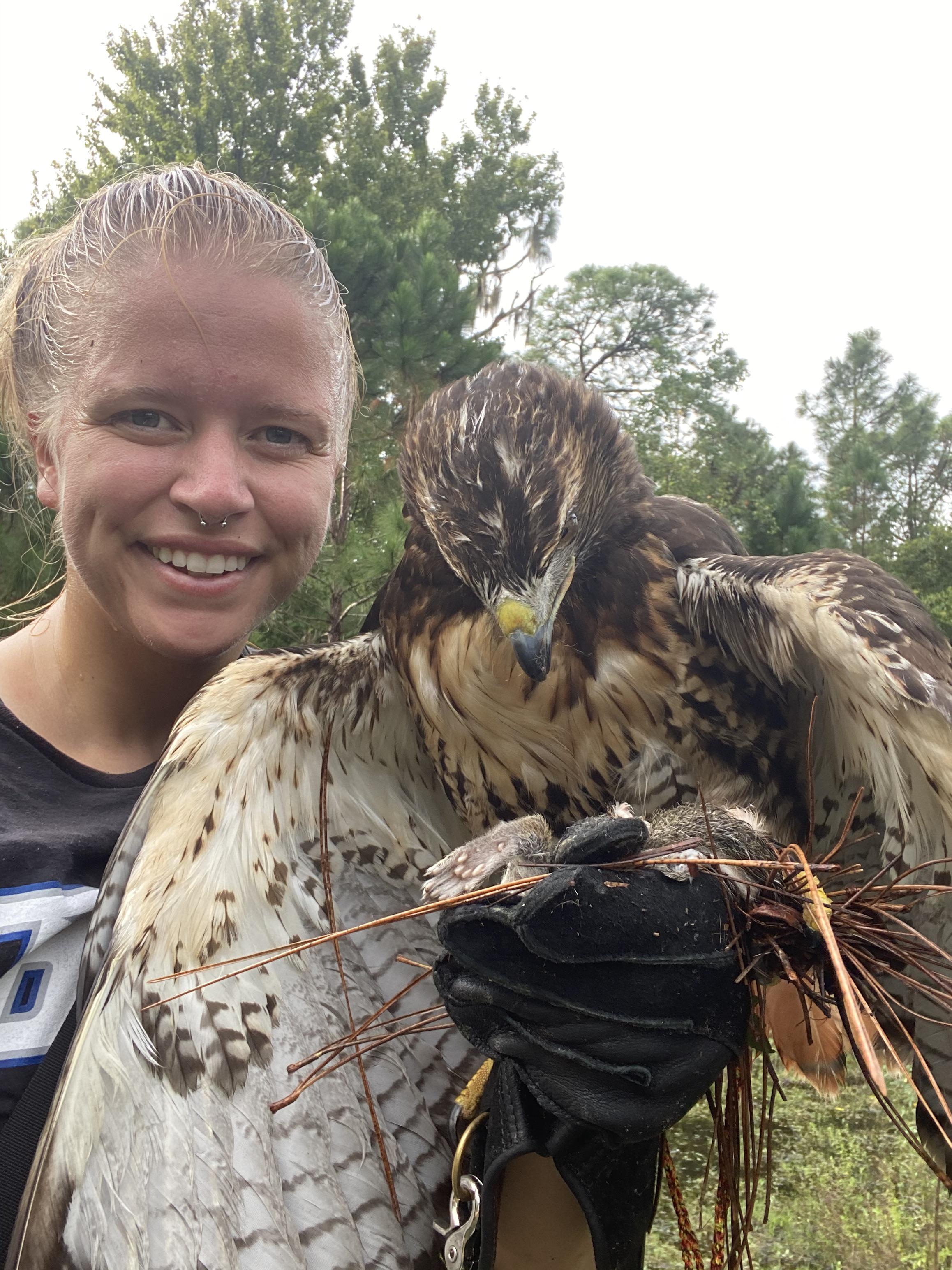 My Redtailed Hawk and I successful on our first squirrel hunt of the