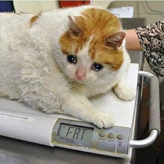 Pfff this weight scale is inaccurate r/funny