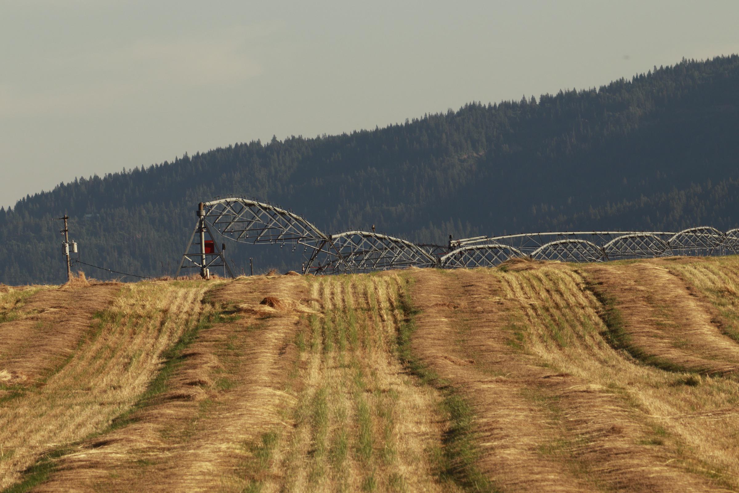 Rathdrum prairie today r/coeurdalene