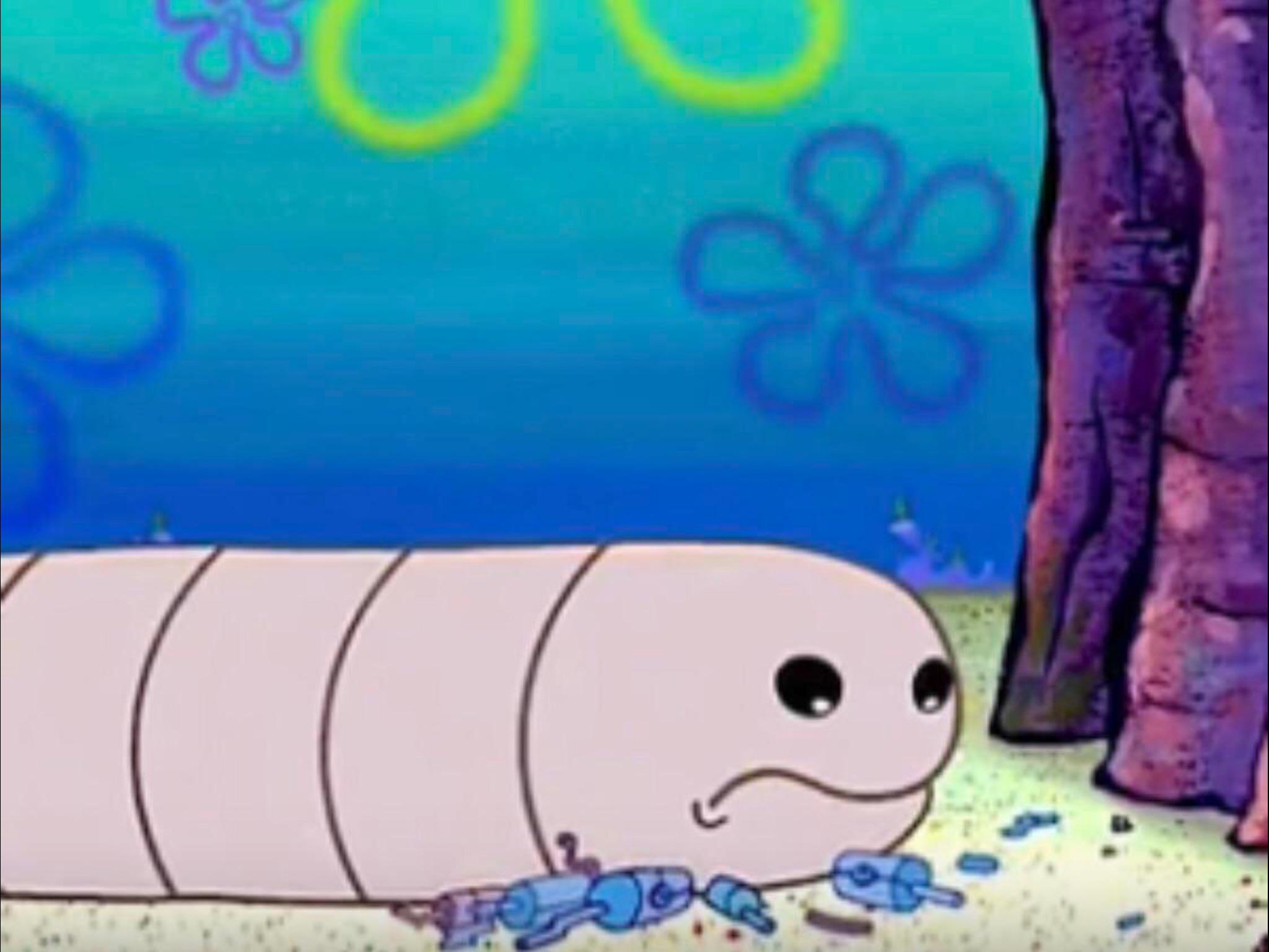 Alaskan bull worm because he is most definitely bigger than the The