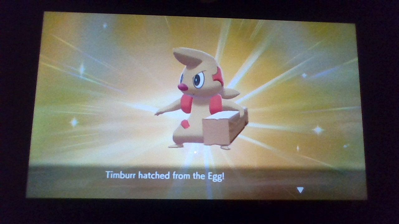 I just got a shint competitive Timburr on my first egg. I evolved it into a Gurdurr, but I need