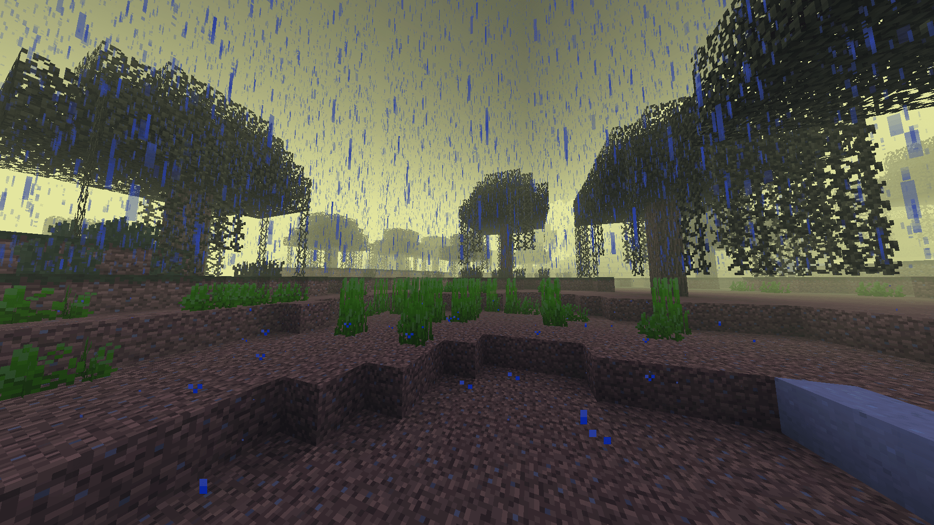 Visual water glitch, a rainy night in a swamp biome. Minecraft