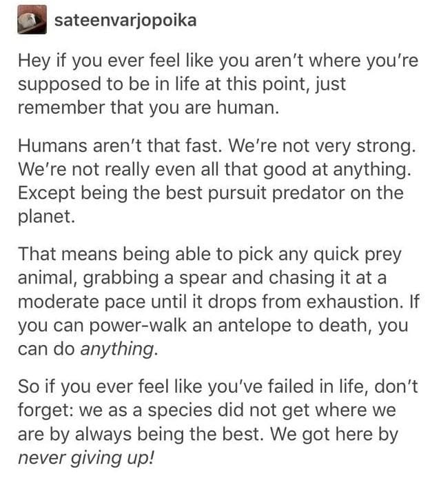 [Image]Humans don't have speed or strength. But we have endurance