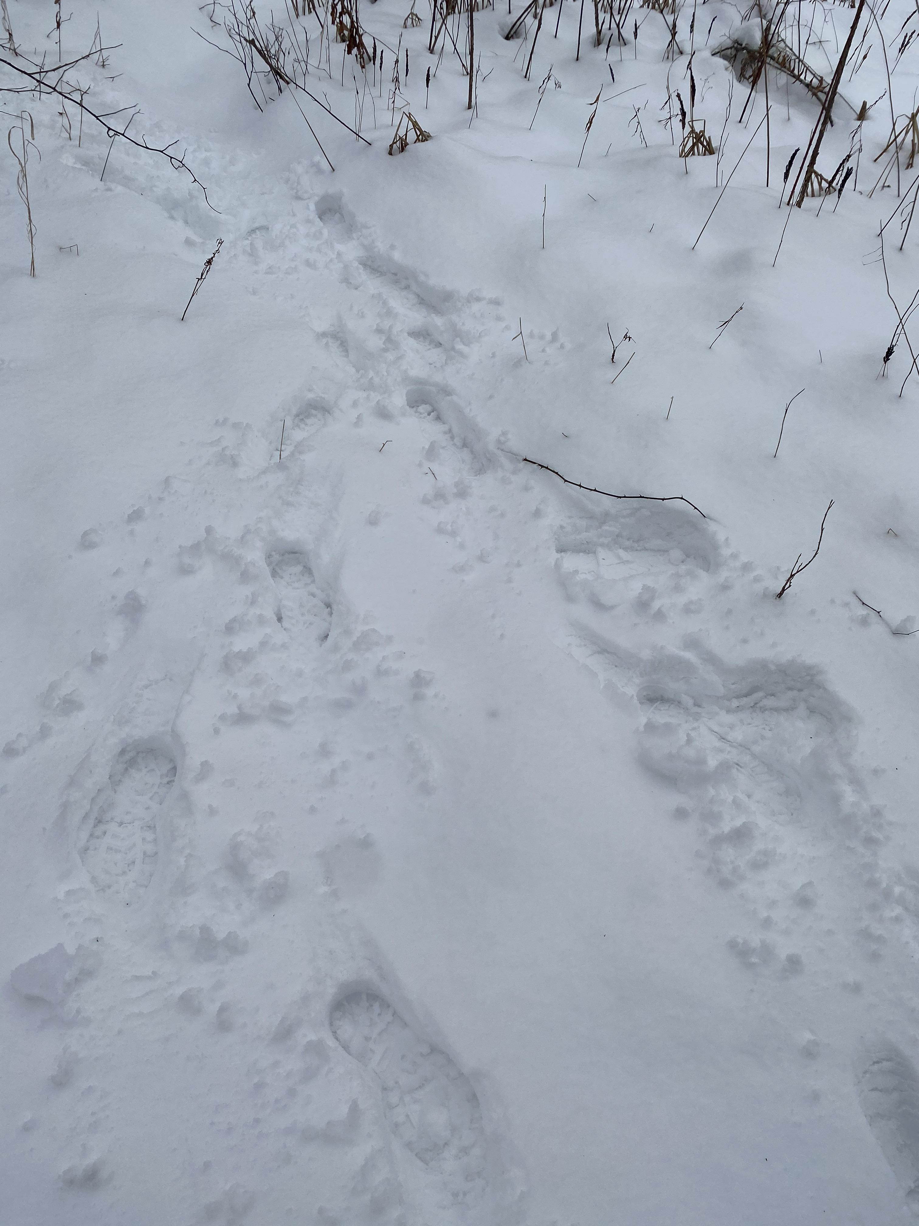 What we had to go through for the oldest in Pennsylvania r/geocaching