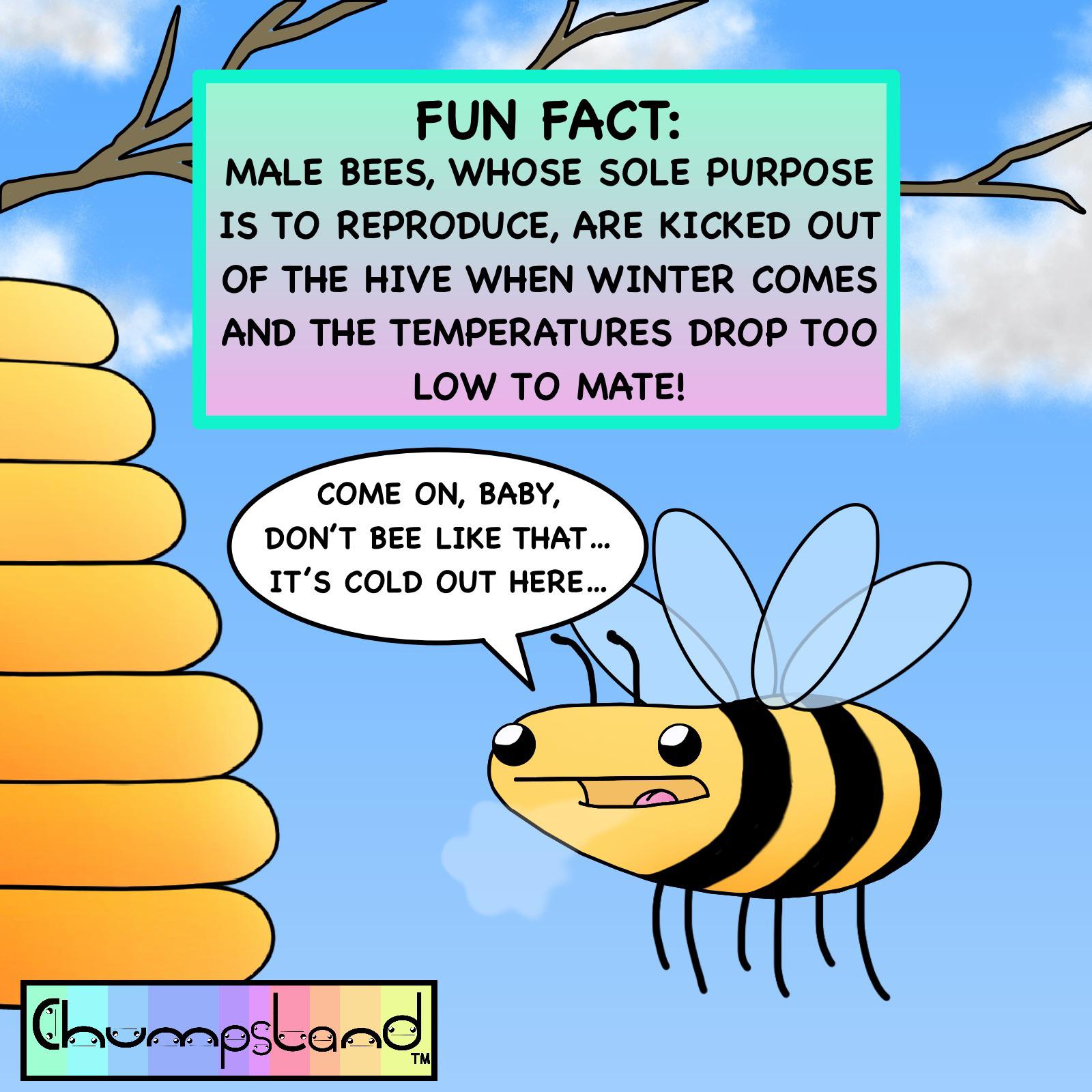 Did you know? Male bees, whose sole purpose is to reproduce, are kicked