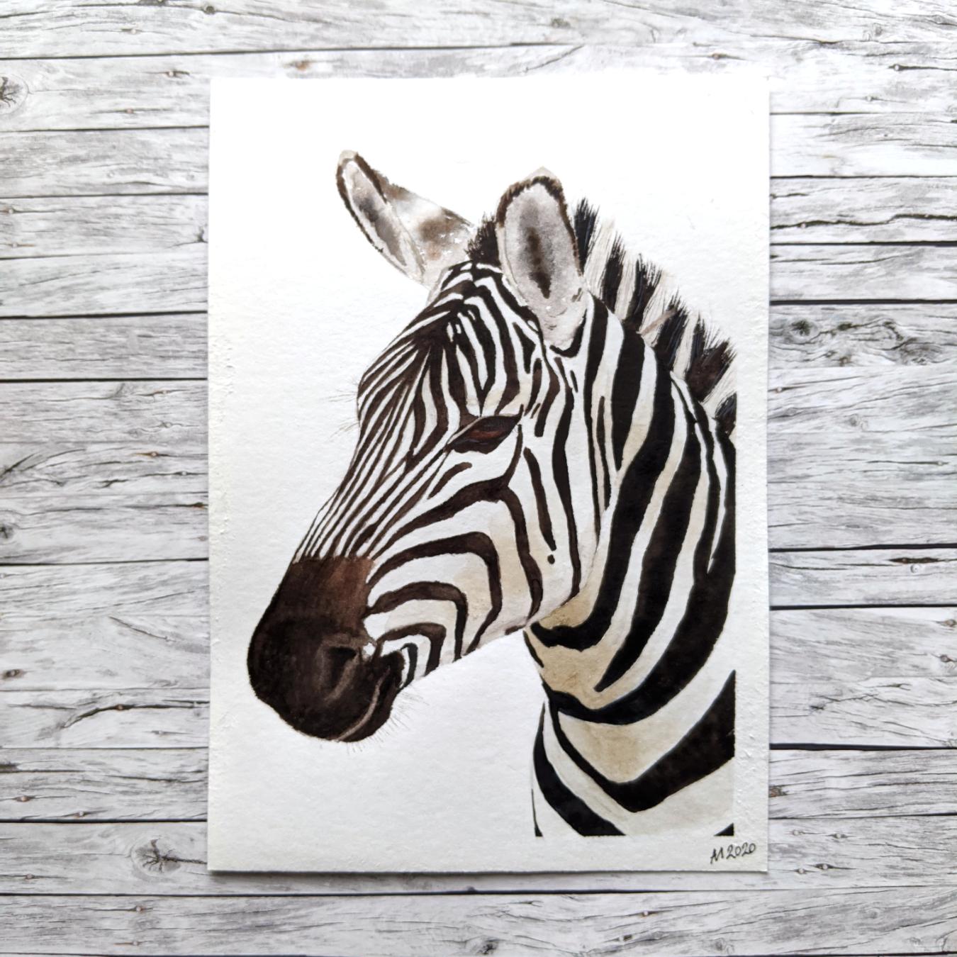 Watercolor zebra Watercolor Painting