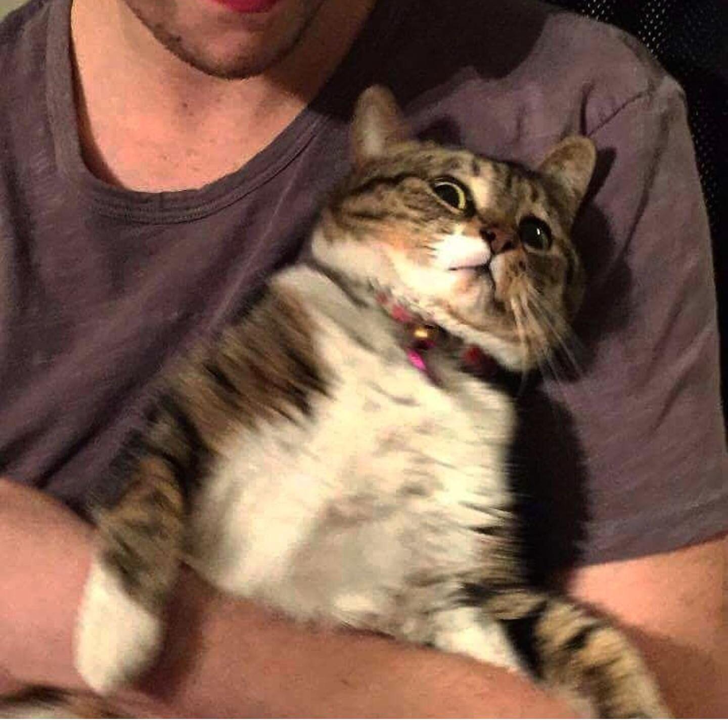 Get that thing away from me r/isthatacamera