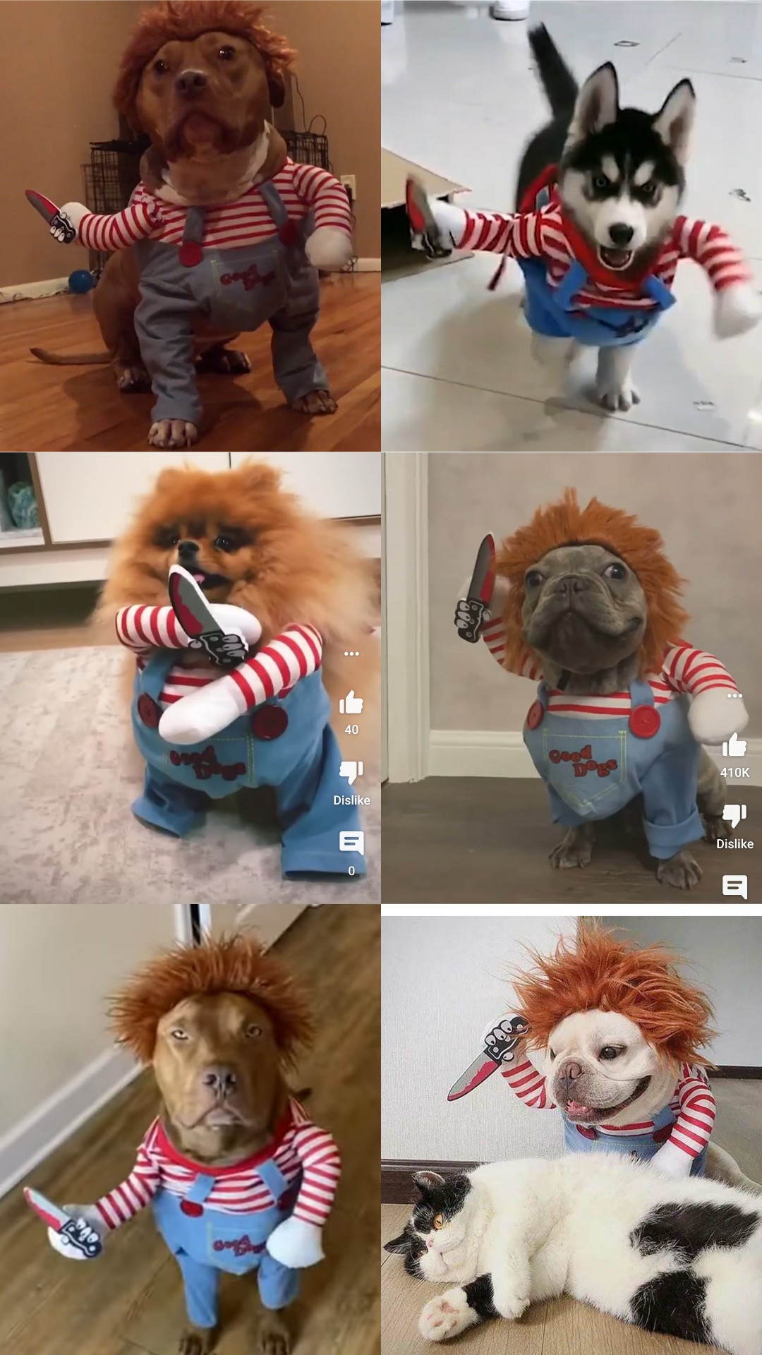 Dogs in Chucky costumes. r/Chucky