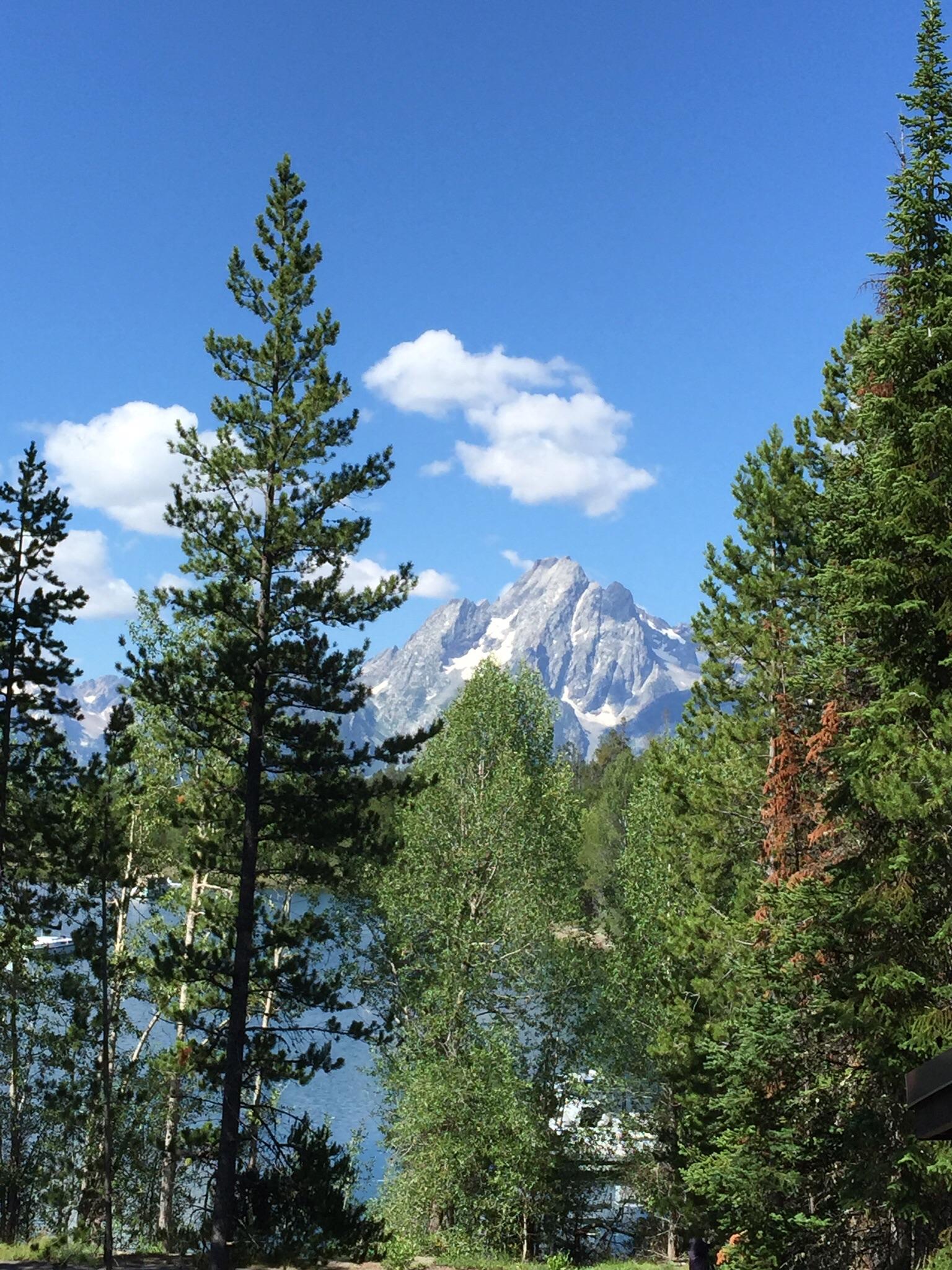 Reddit Dive into anything