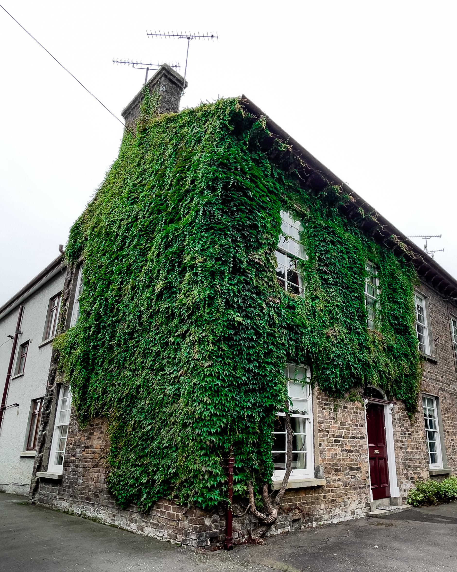 Milford Co Armagh [iPhone12ProMax Adobe Lightroom] r/iPhoneography