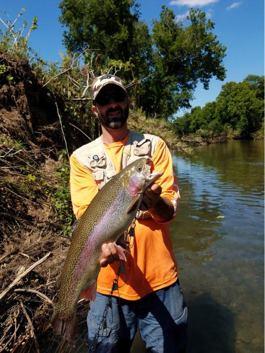 PR Rainbow Trout 7.8lbs Missouri. r/Fishing