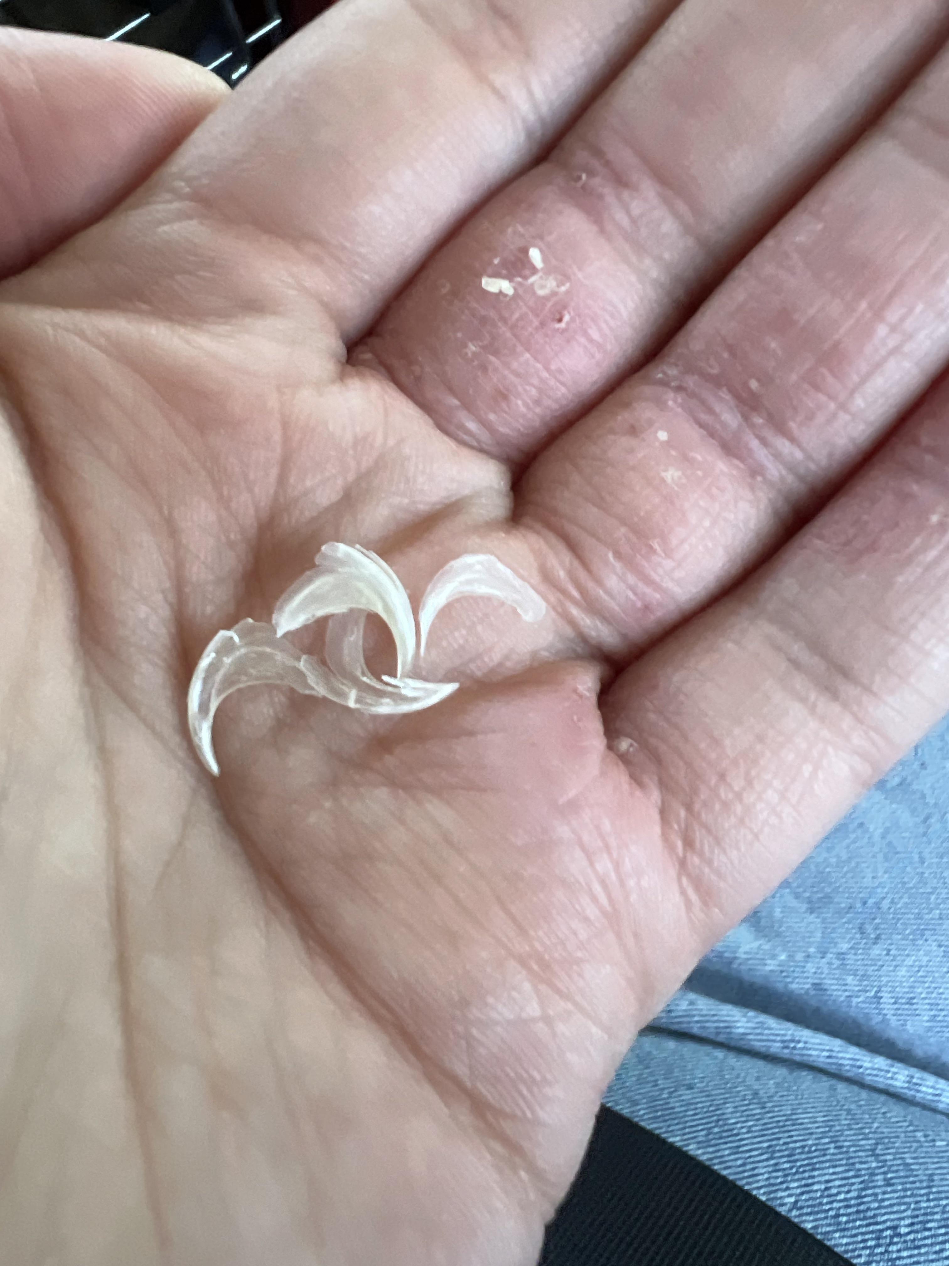 How to help cat relieve pain? r/vet