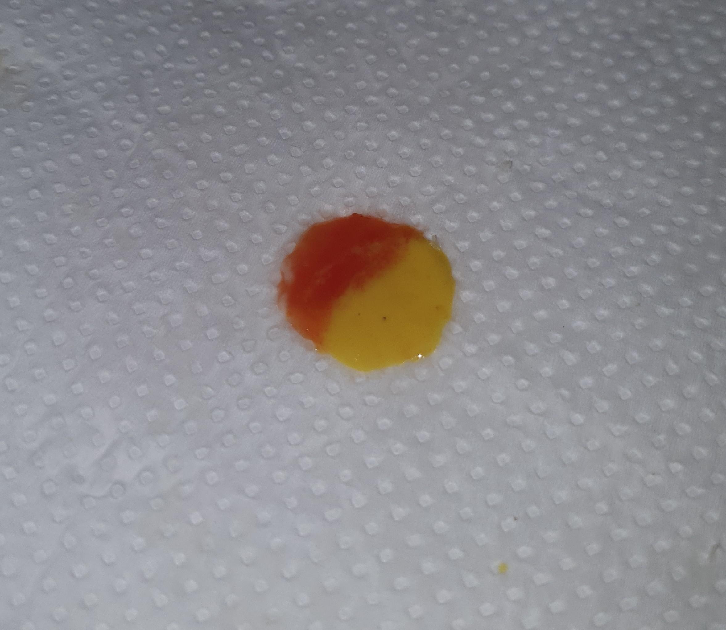 This perfect ketchup/mustard yin yang splotch from my burger r