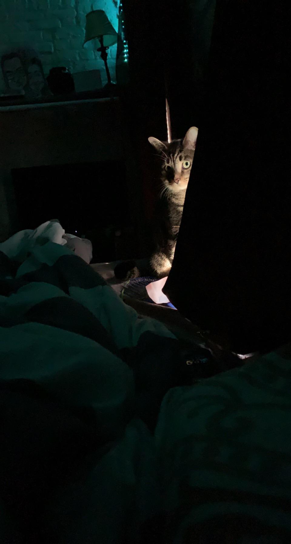 Ocean Blue 💙 (u/Ocean_Onlyfans) - Reddit