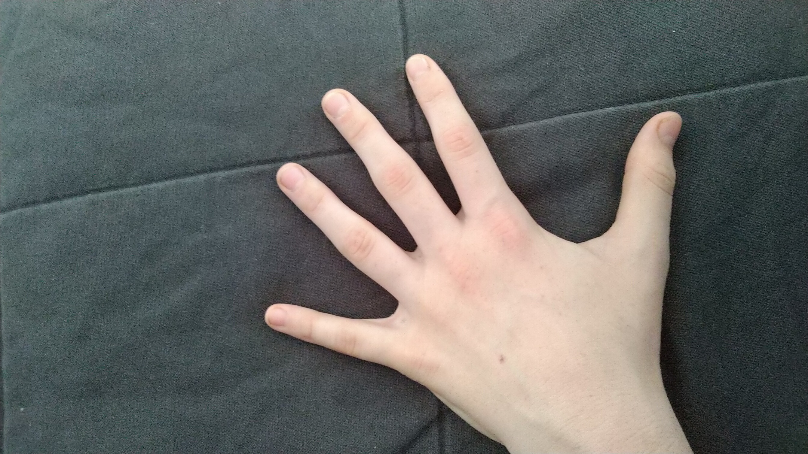 Look, what i found inside my glove! r/notinteresting