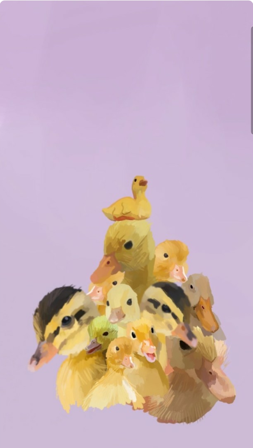 Share 55+ aesthetic duck wallpaper best in.cdgdbentre