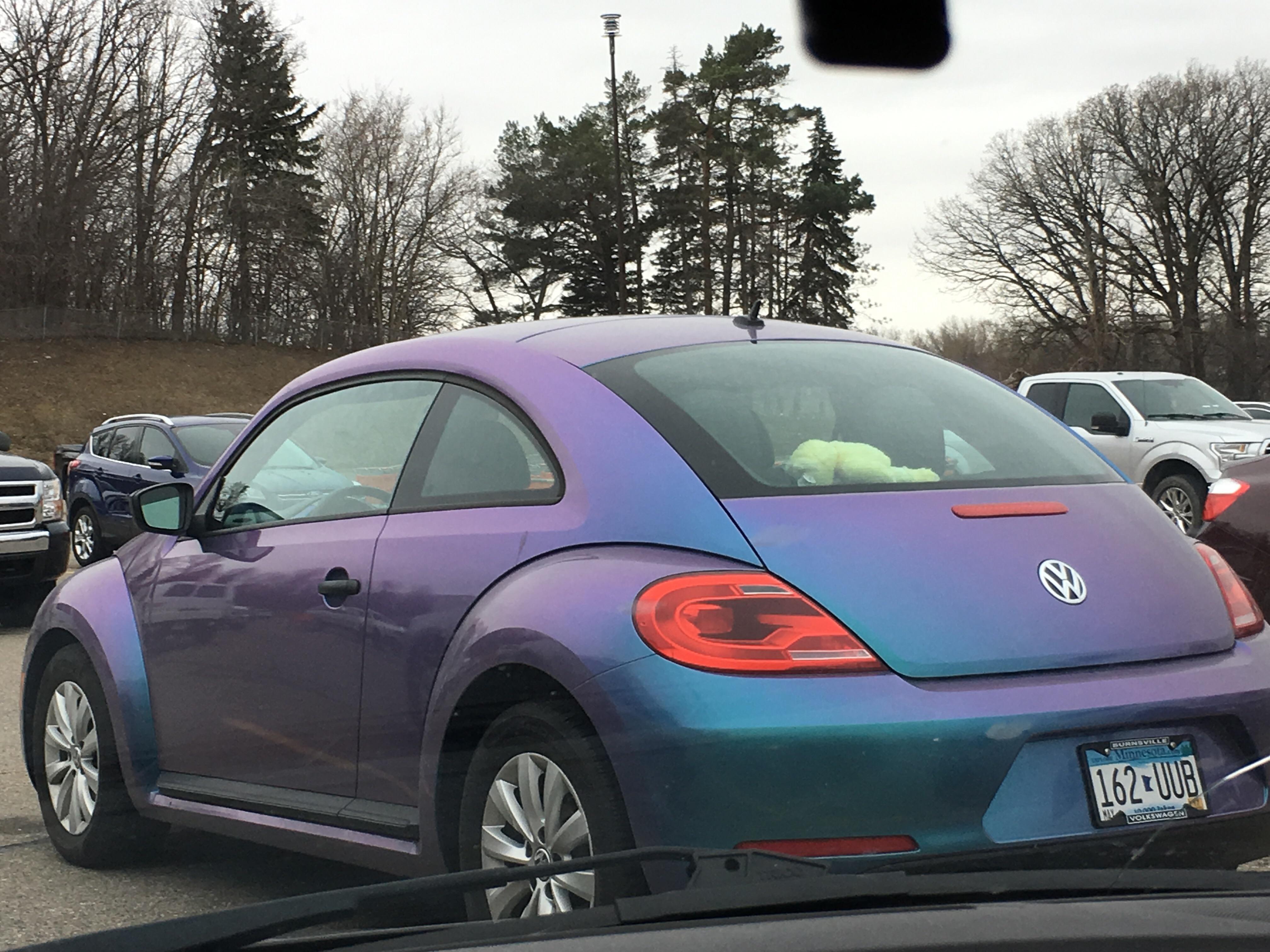 This beetle painted like a real beetle. r/mildlyinteresting