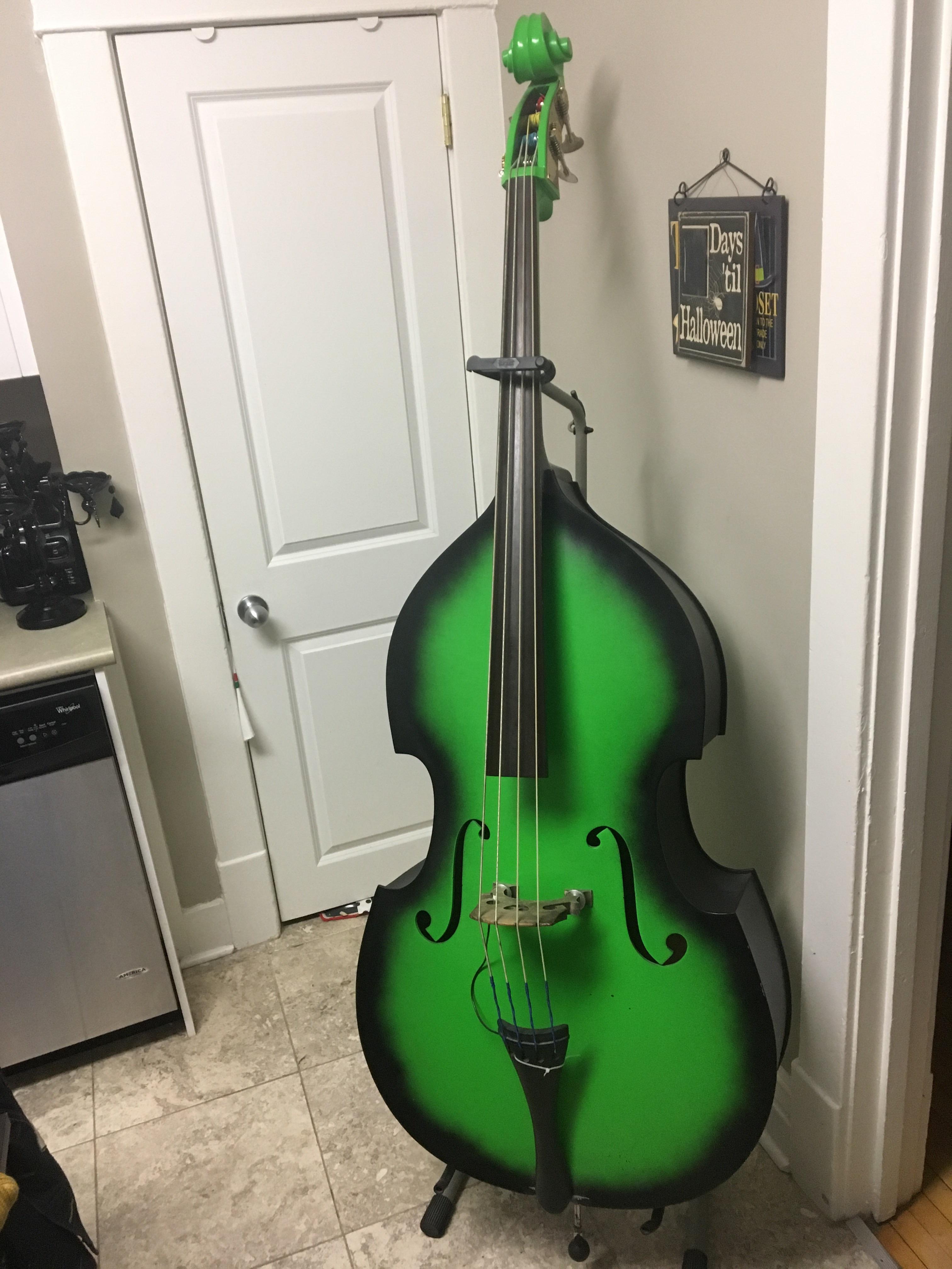My new Upright Bass. She’s purdy. r/Instruments