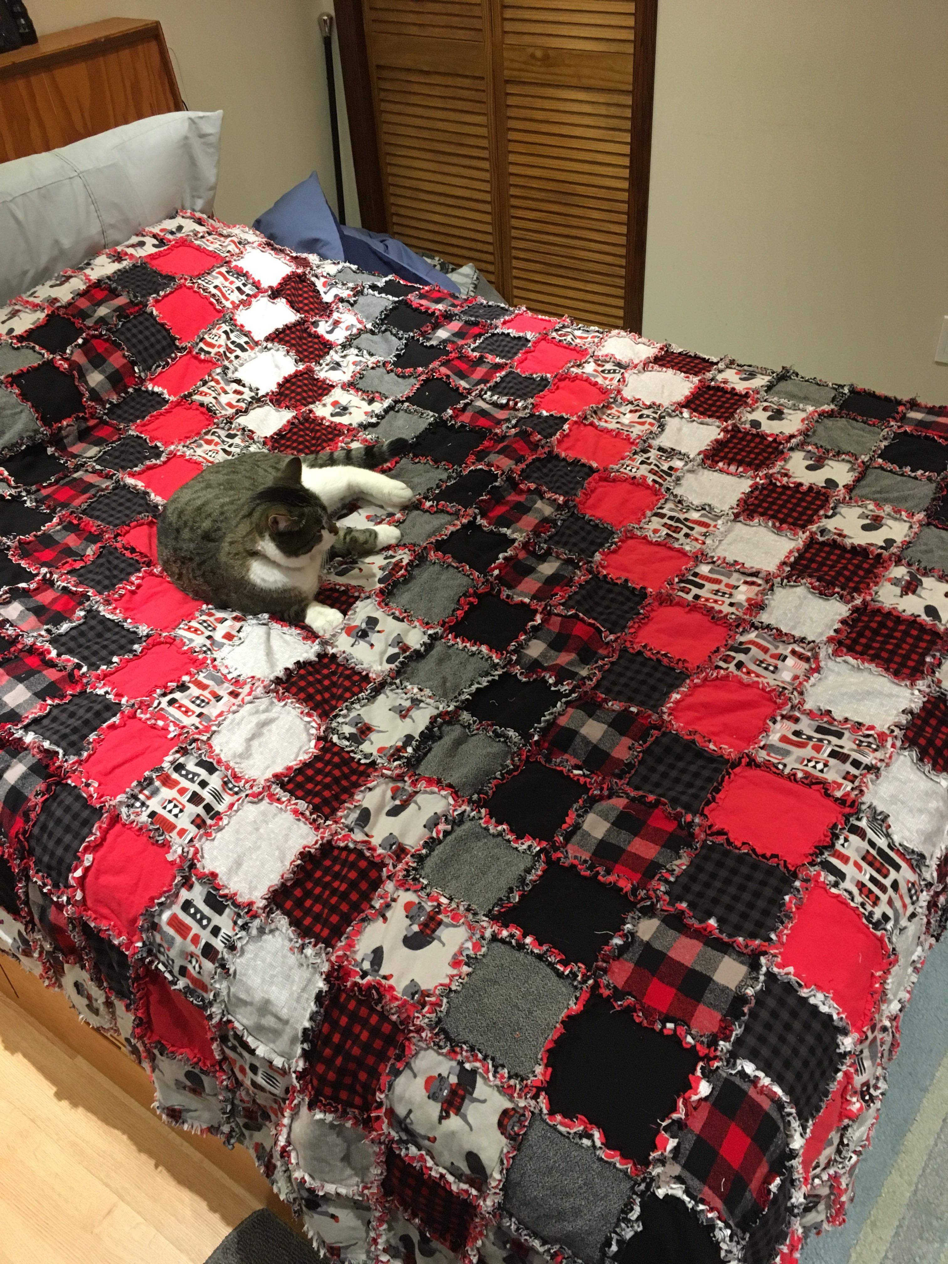My first quilt completed, queen sized and cat tax included. r/quilting