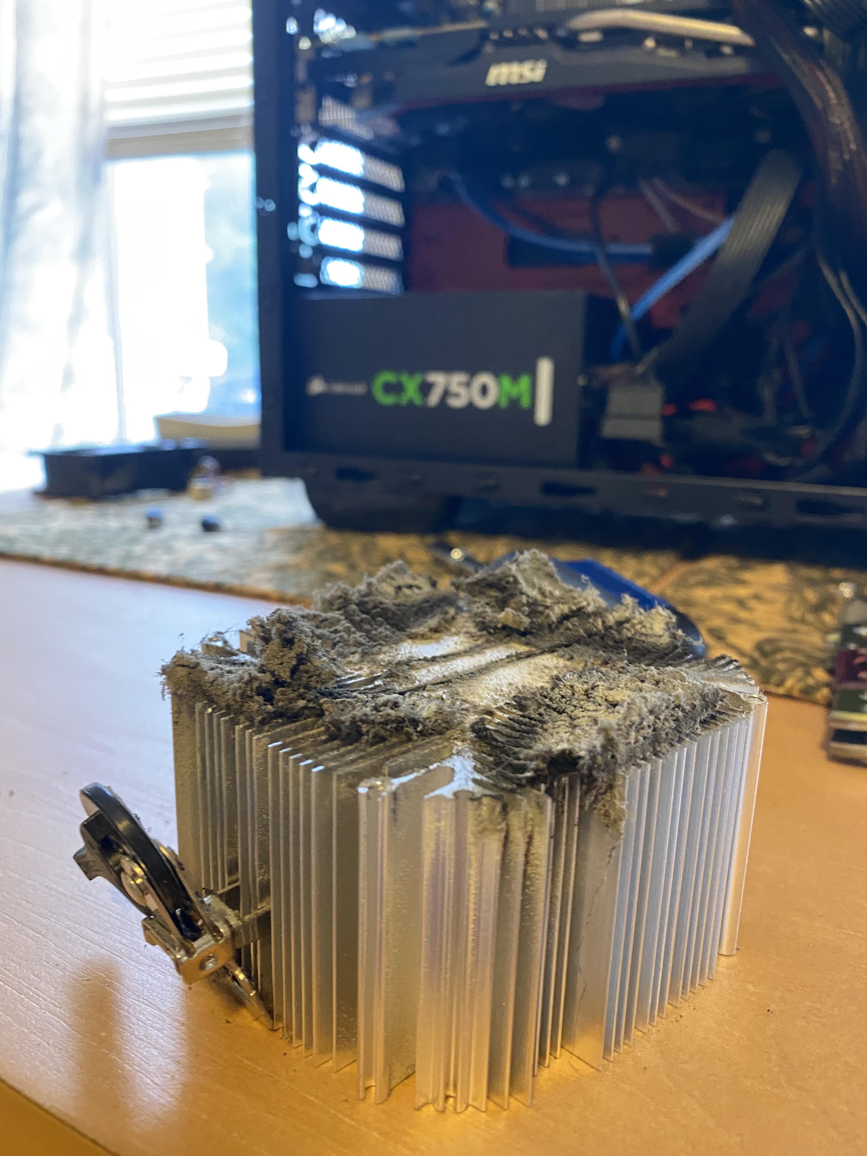 My friends CPU fan was getting a little loud r/techgore