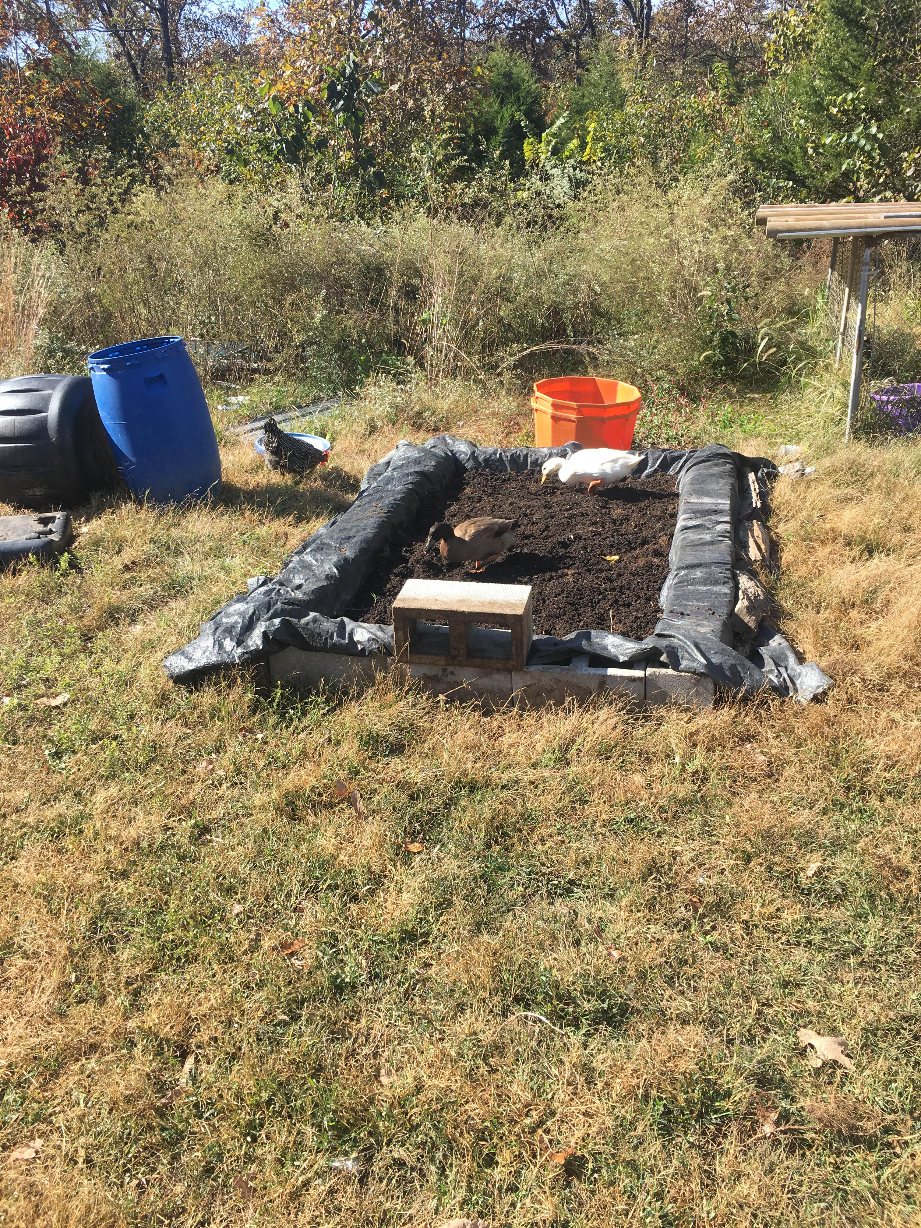 Just got this bit of organic dirt from the motherinlaw. Best advice