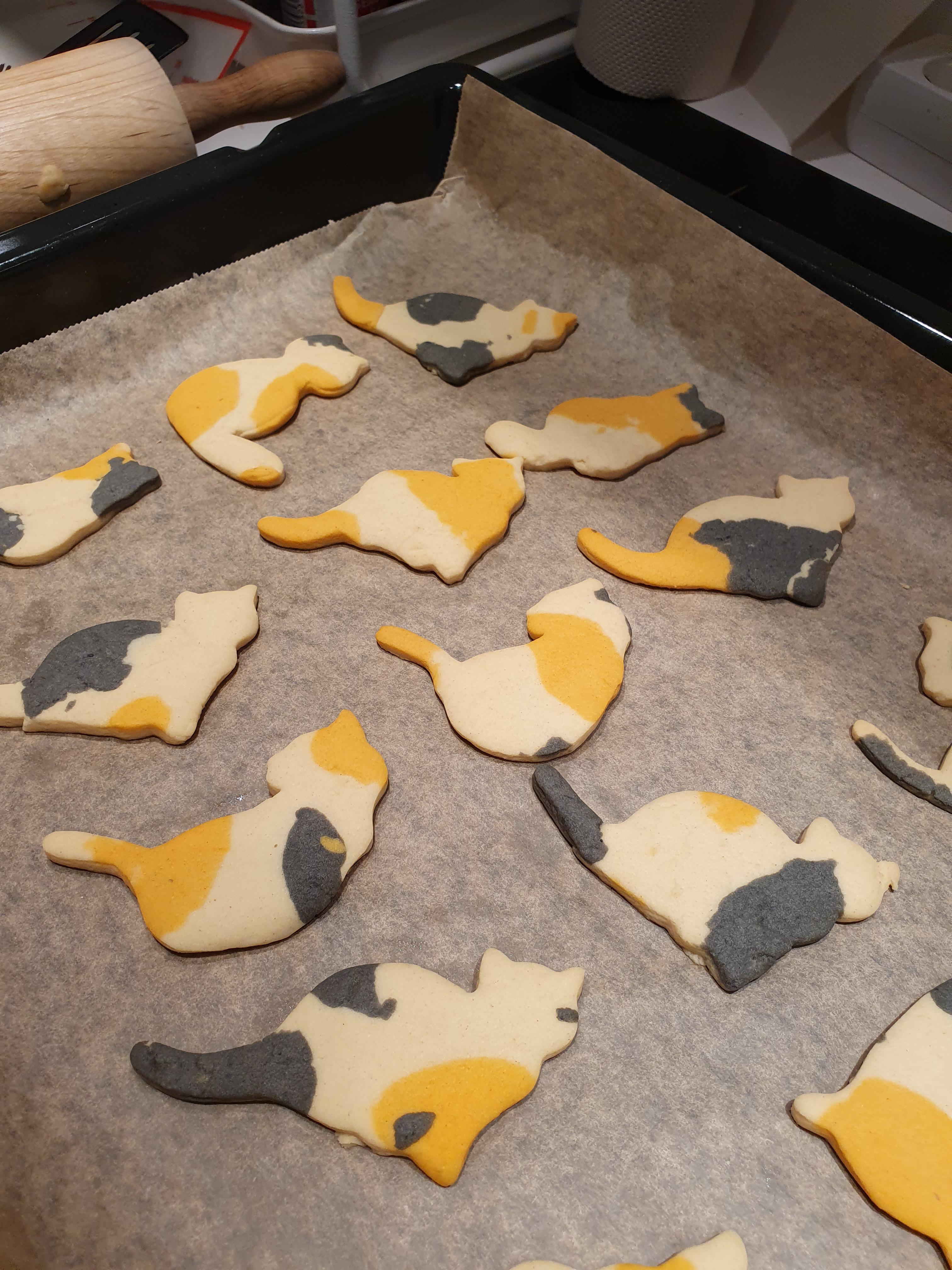 Week 7 New tool Cat shaped cookie cutters r/52weeksofbaking