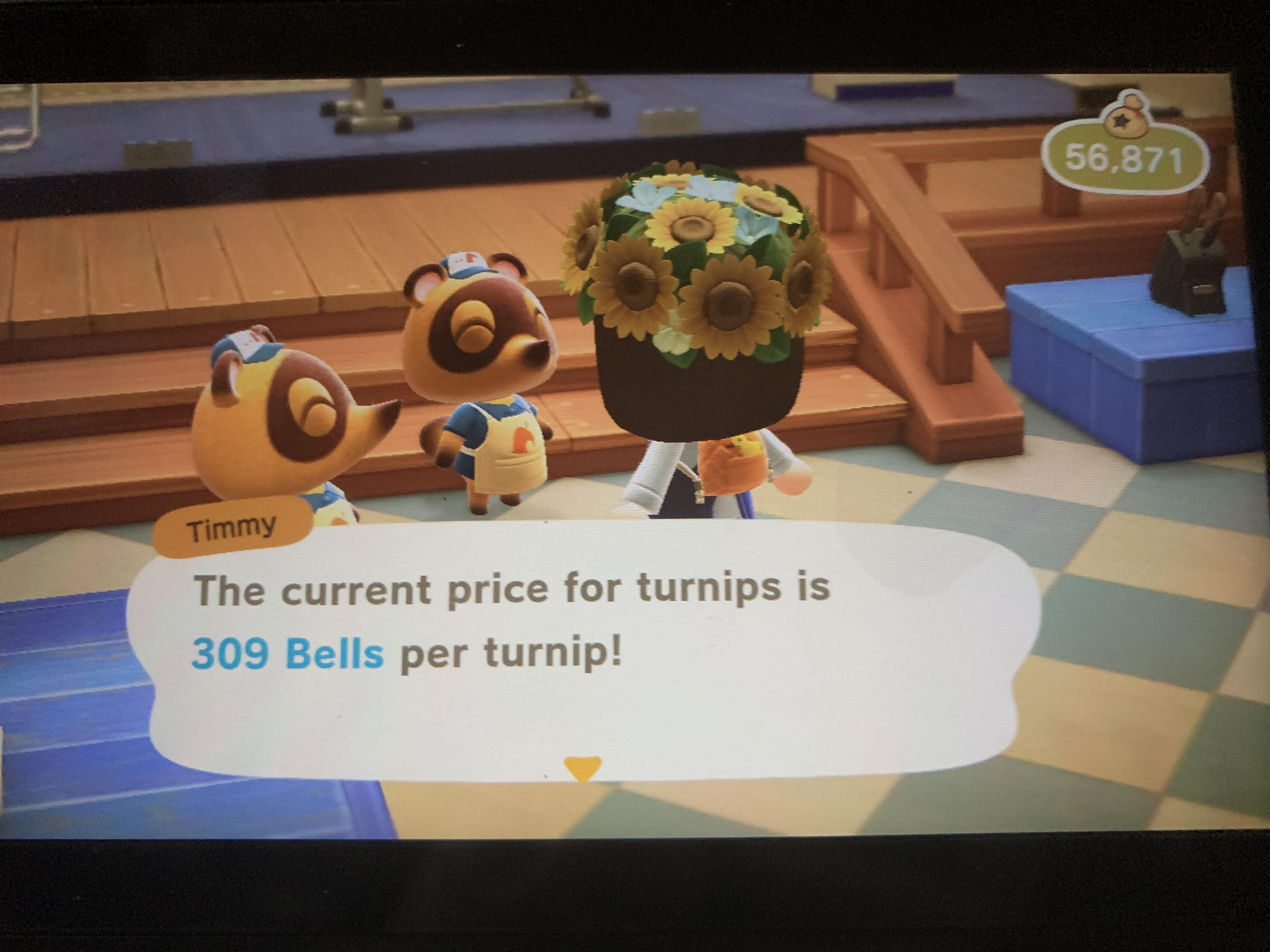 [Nooks] 309, turnip exchange in comments r/ACNHTurnips