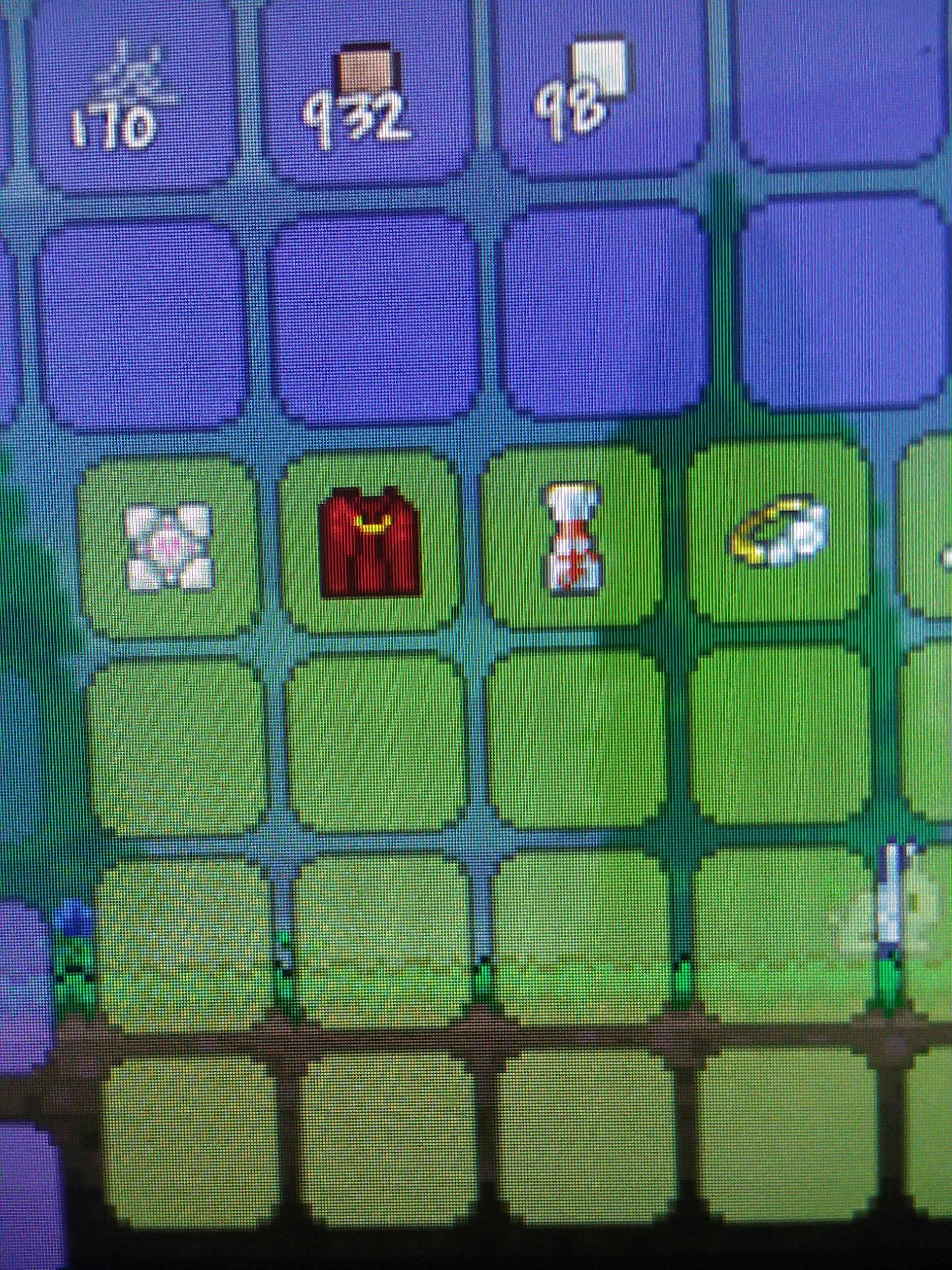 Two of the most expensive items on 5th day r/Terraria