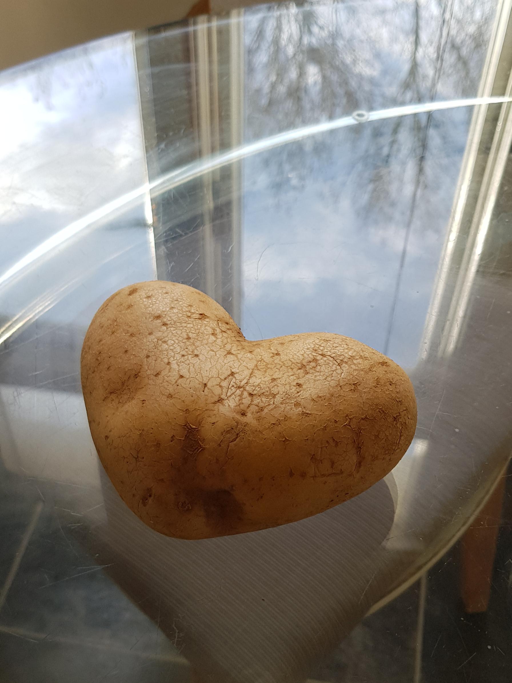 This potato shaped like a heart r/mildlyinteresting