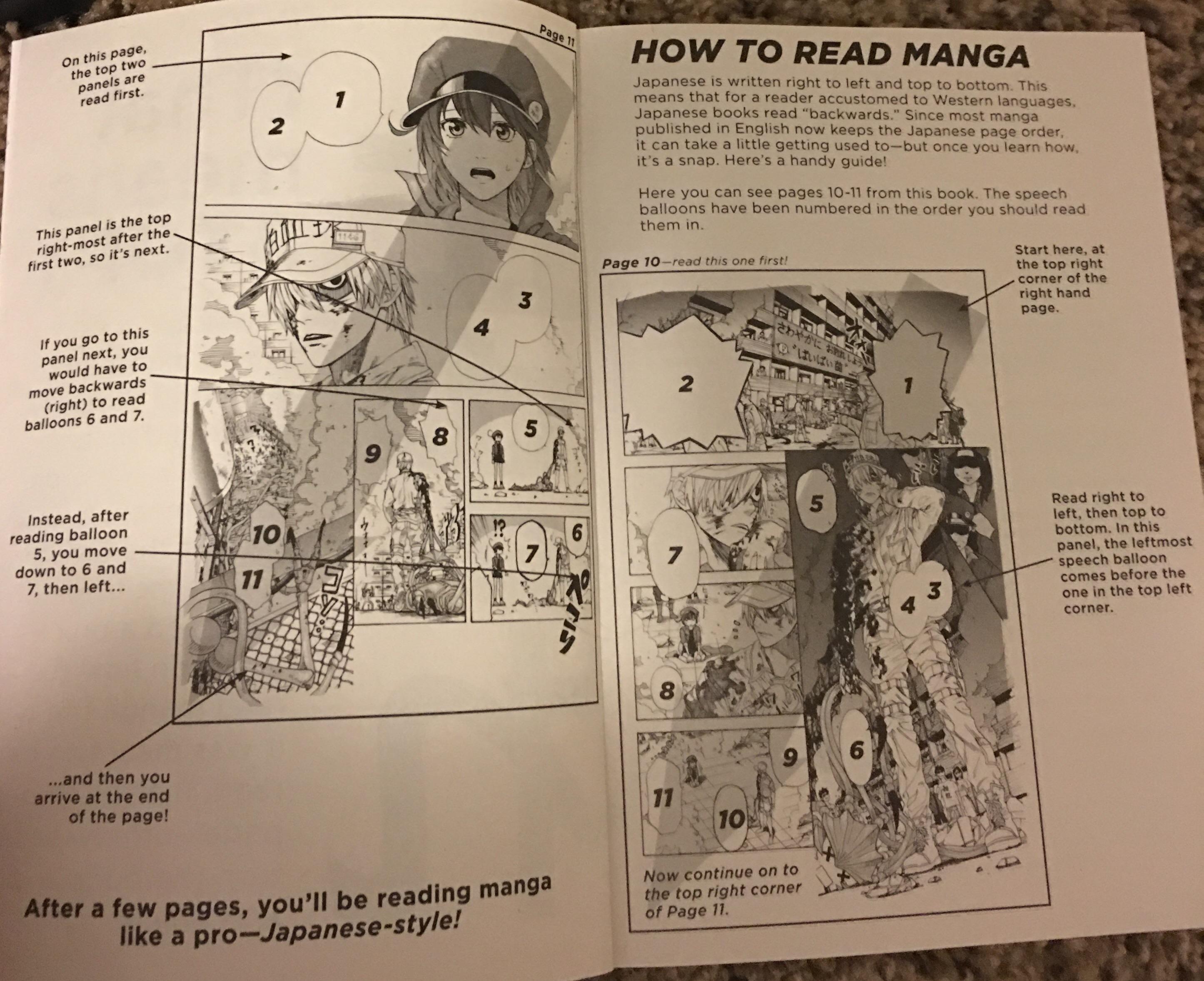 [Art] How to read manga (Hataraku Saibō) r/manga