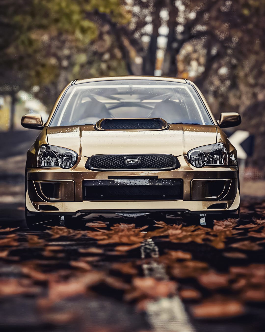 Subaru WRX STi '04 : r/DivineGamingPhotos