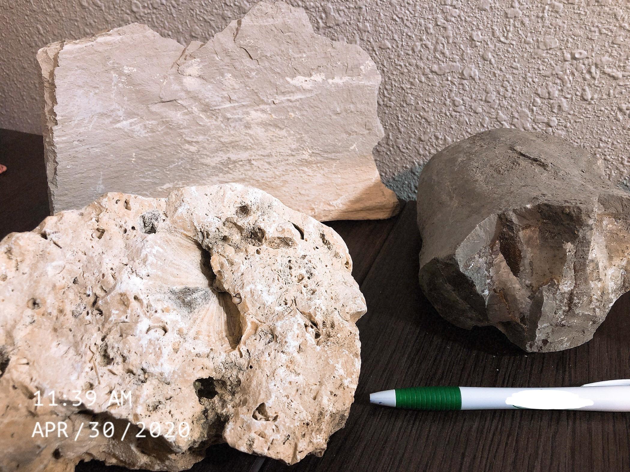 Samples from various Texas job sites! r/geology