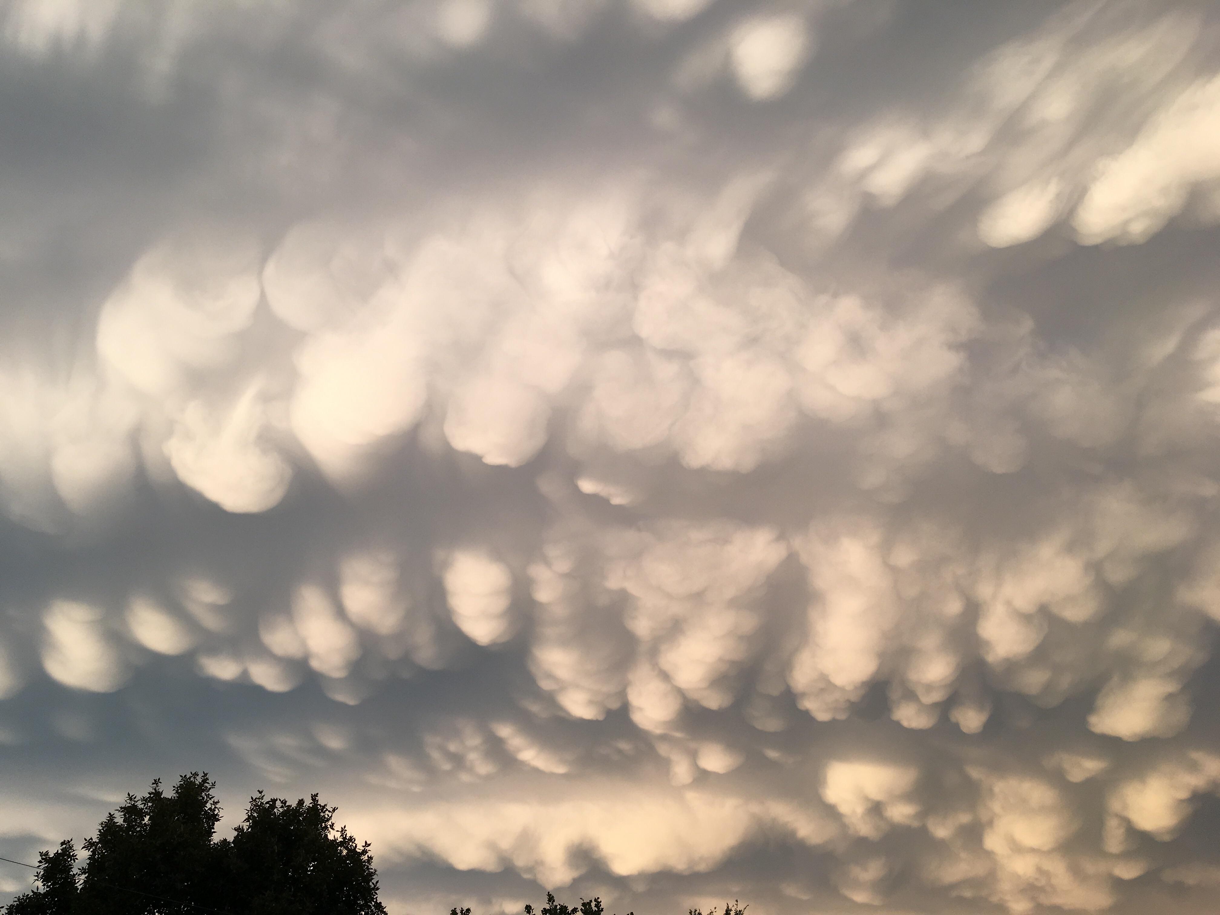 These puffy clouds r/mildlyinteresting