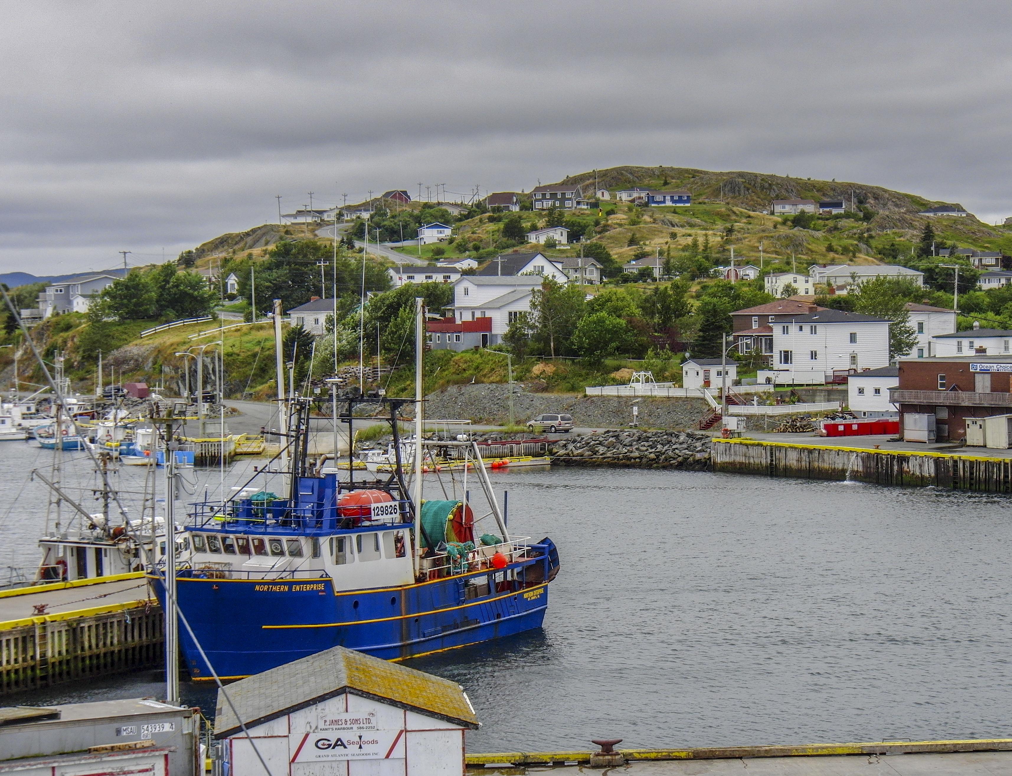 Port de Grave, Newfoundland, Canada [OC] r/VillagePorn