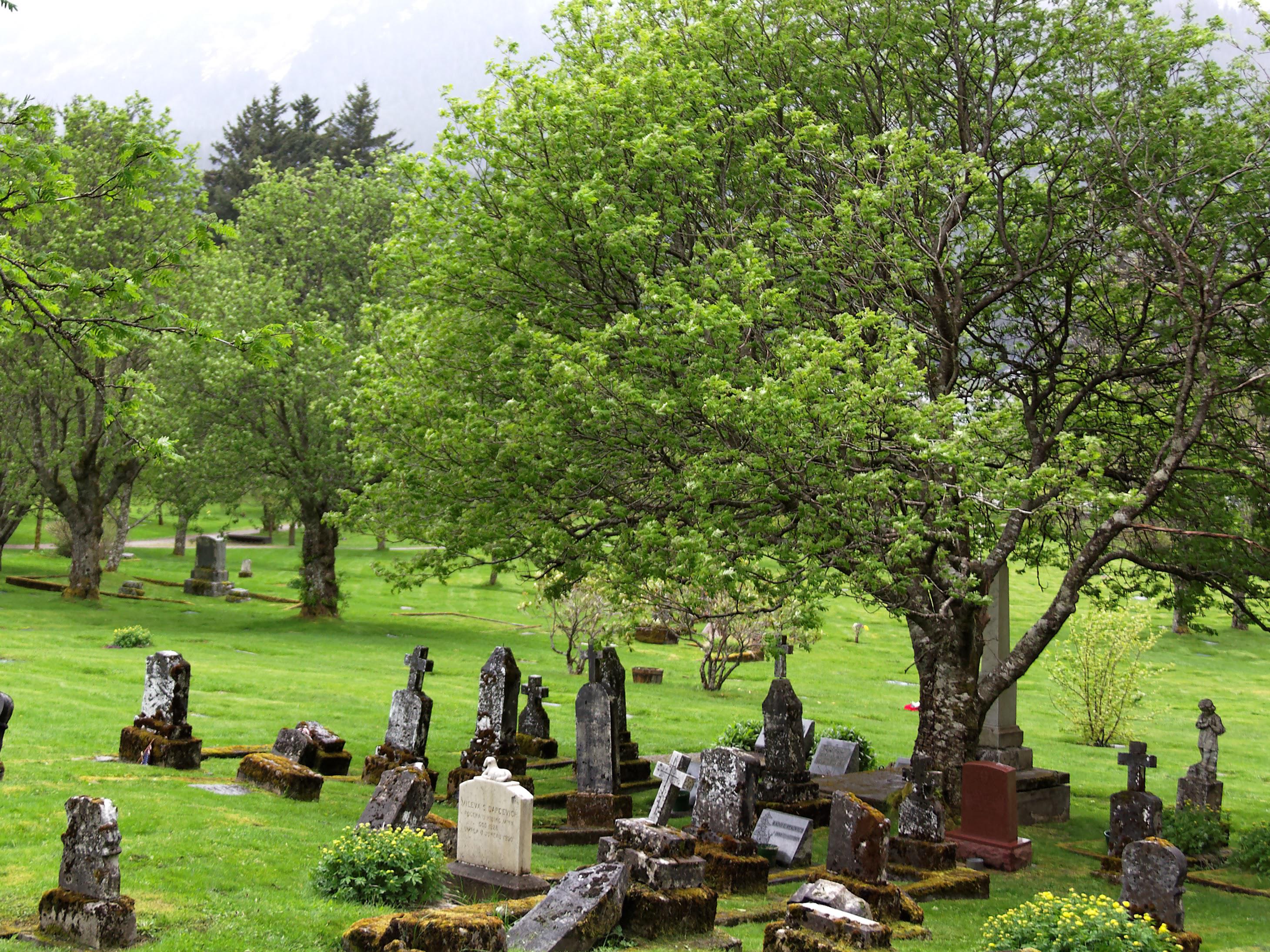 Evergreen Cemetery (Juneau, Alaska) r/CemeteryPorn