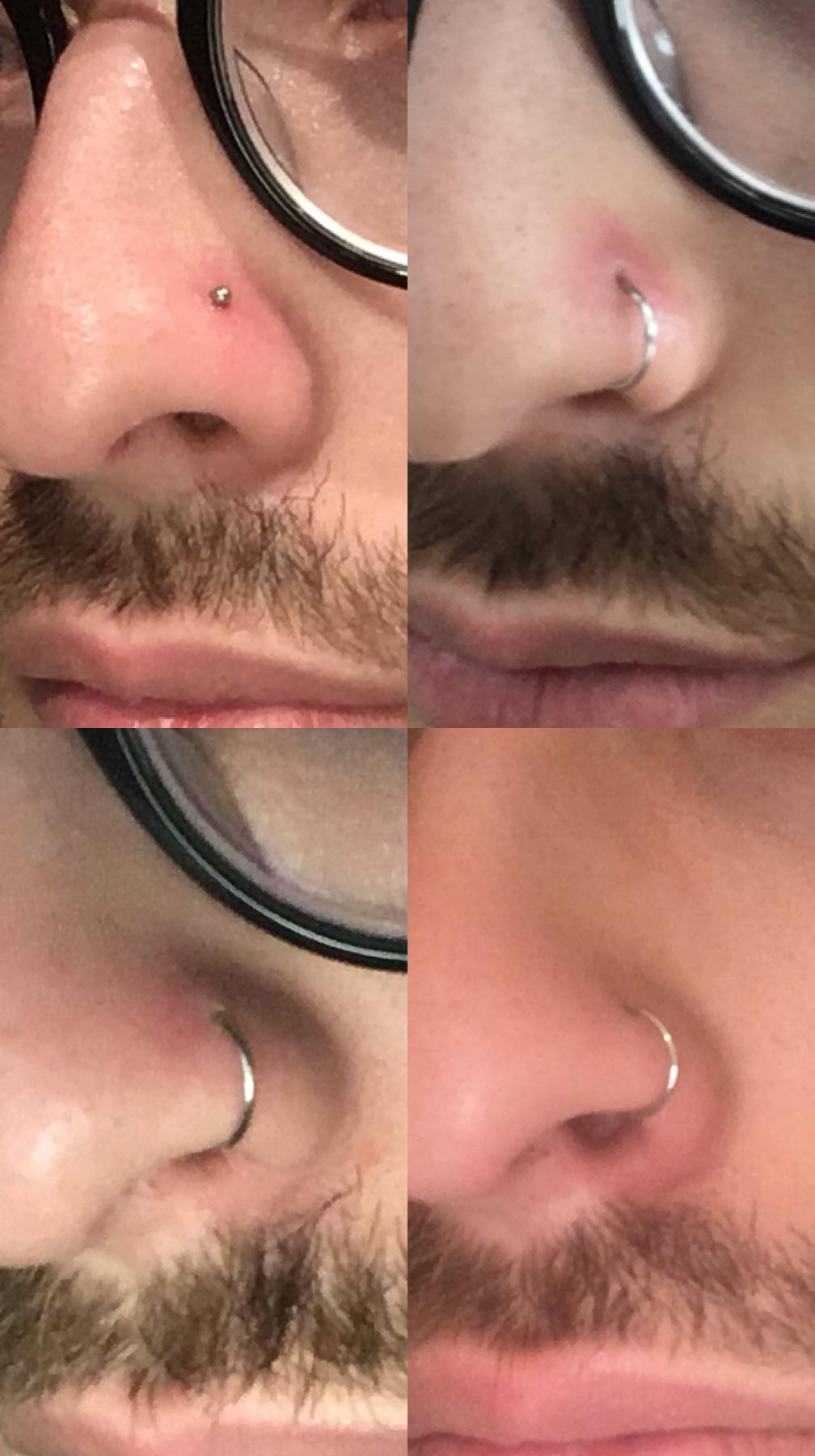 The successful story of my nose ring healing. I accidentally got it out