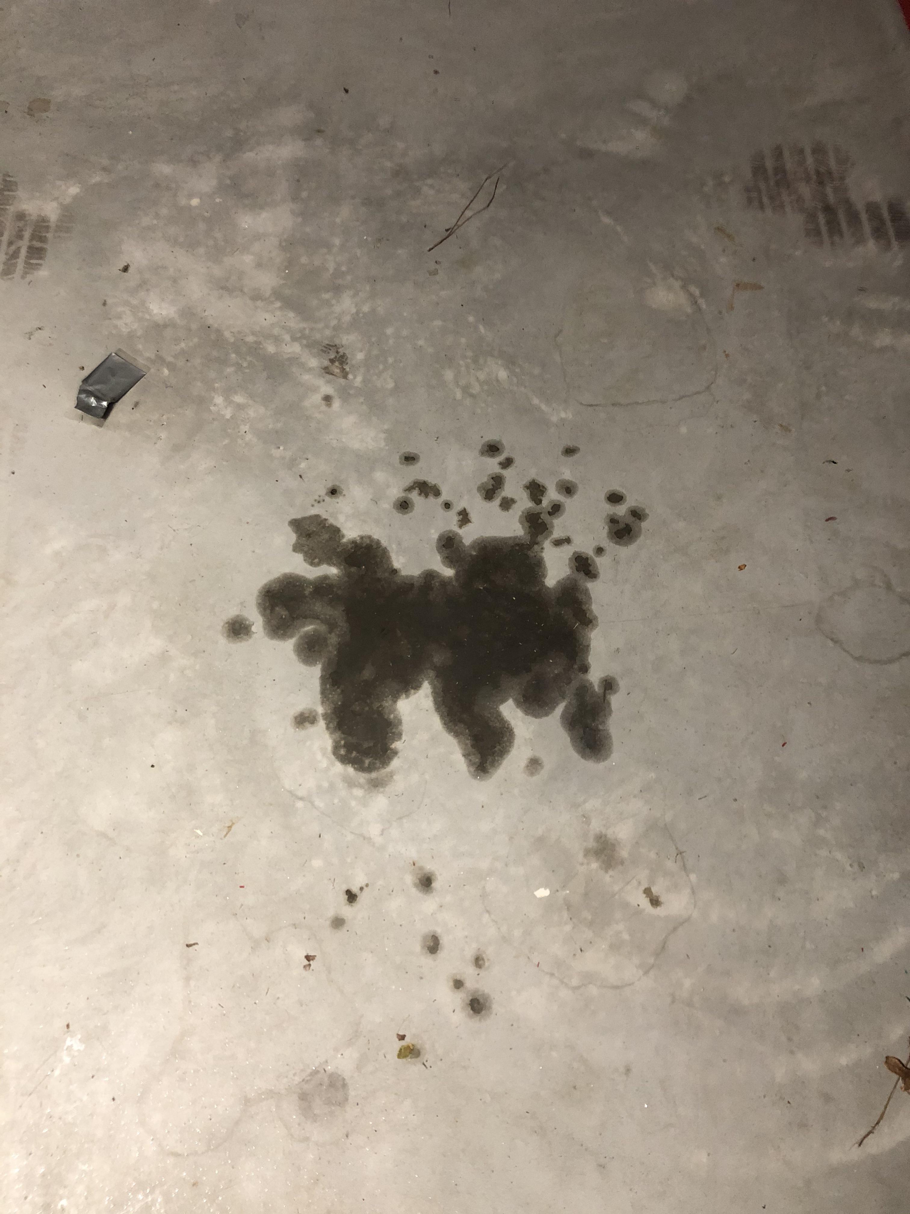 Anyone have any tips on getting oil stains off your garage floor? r