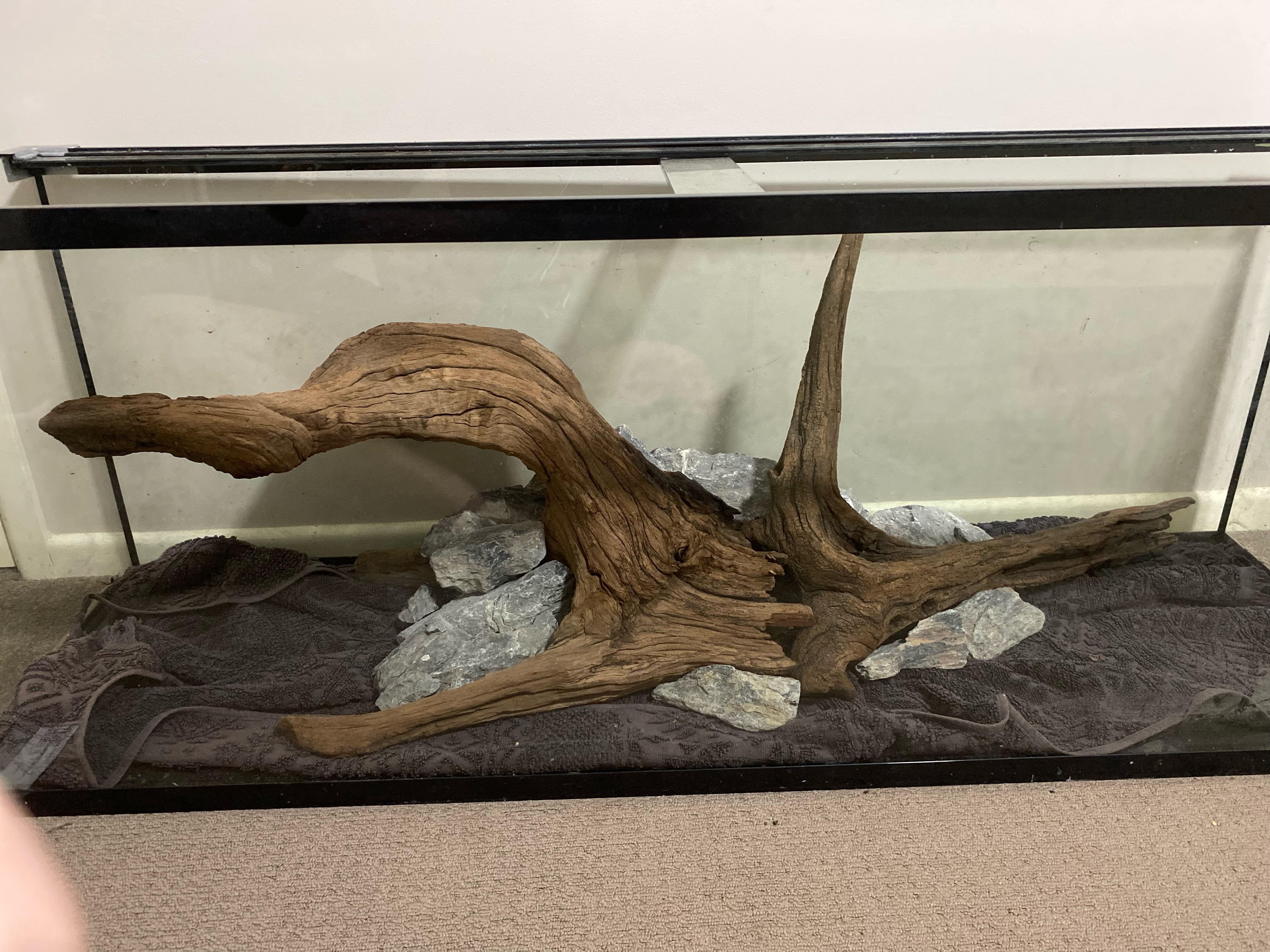 Need stocking for my 200L tank r/Aquascape